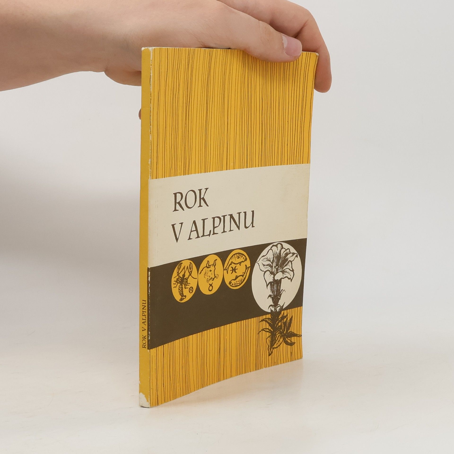 Collectif d'auteurs Rok v Alpinu