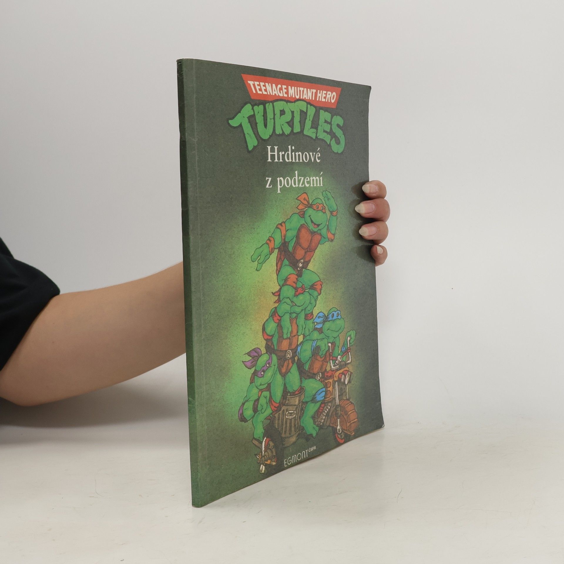 Maureen Spurgeon Teenage Mutant Ninja Turtles. Hrdinové z podzemí