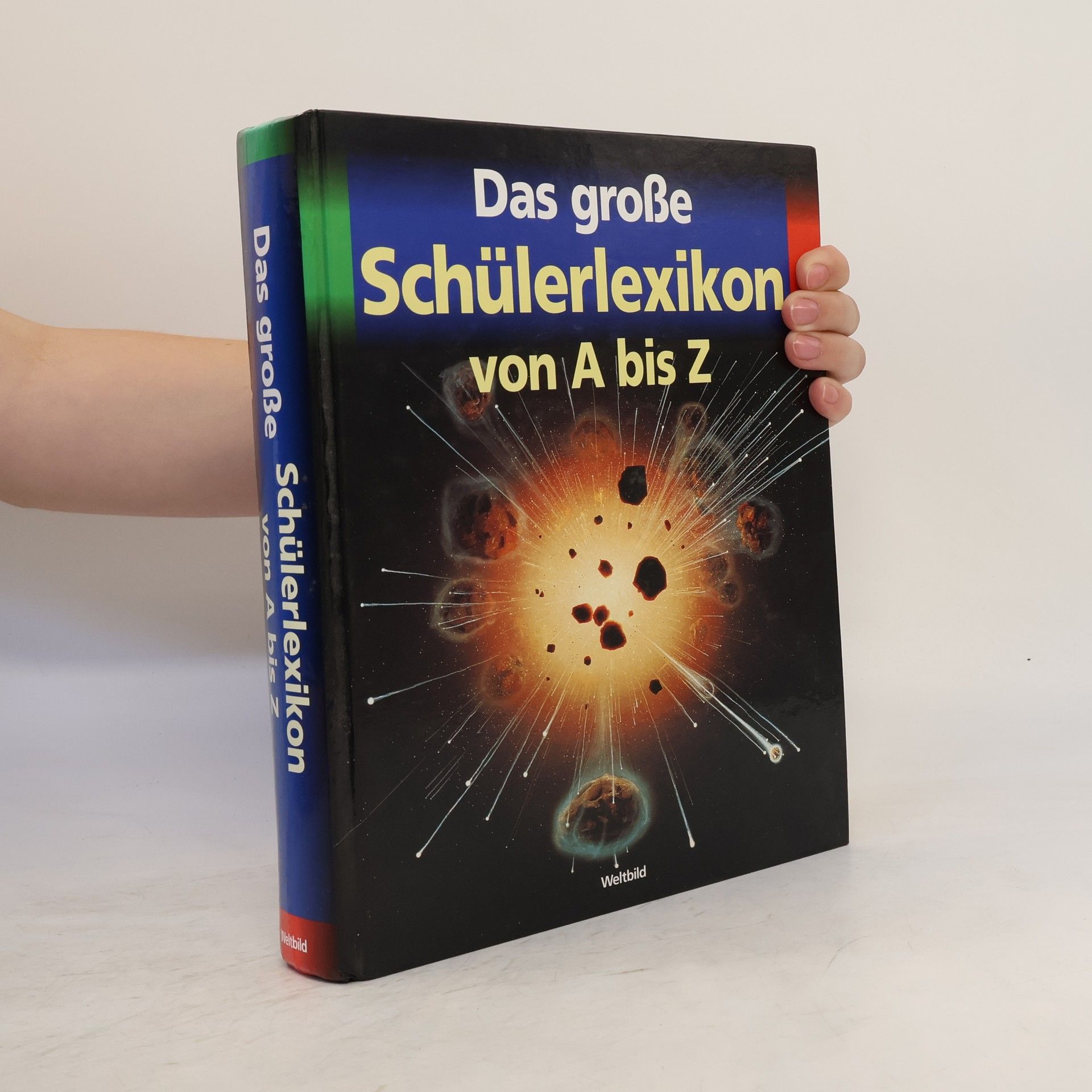 Autores varios Das große Schülerlexikon von A bis Z