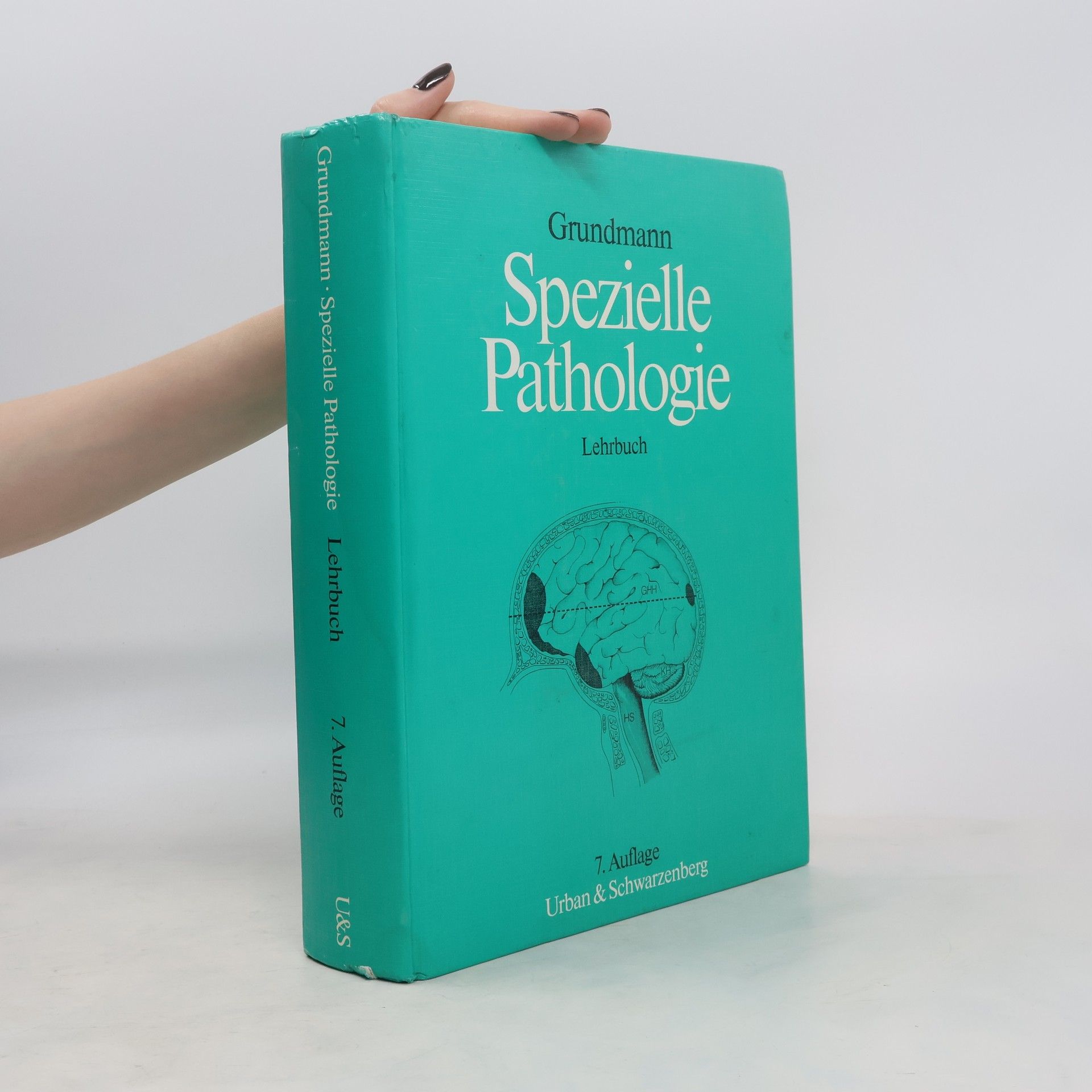 Kolektiv autorů Spezielle Pathologie