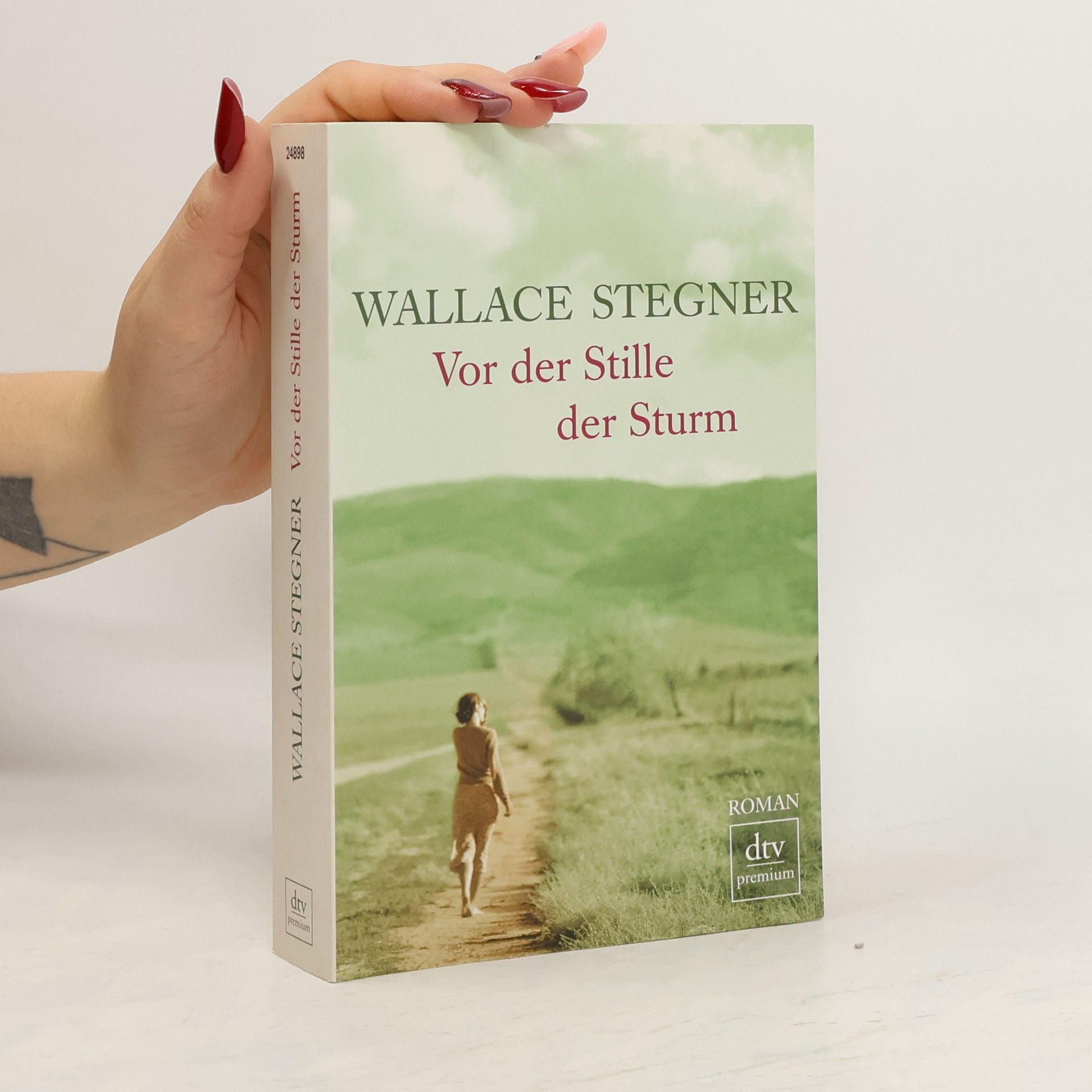 Wallace Stegner Vor der Stille der Sturm