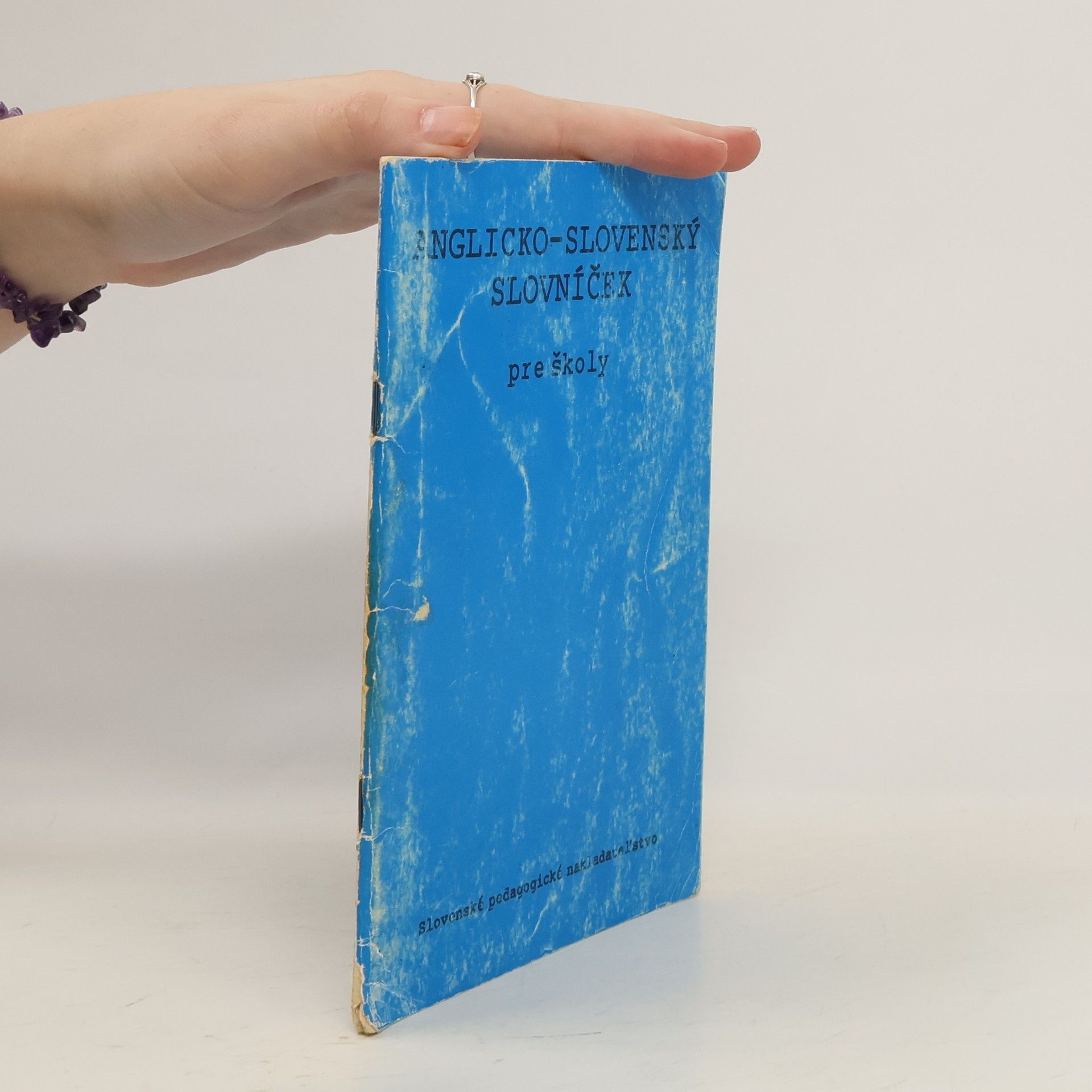 Autorenkollektiv Anglicko-slovenský slovníček pre školy