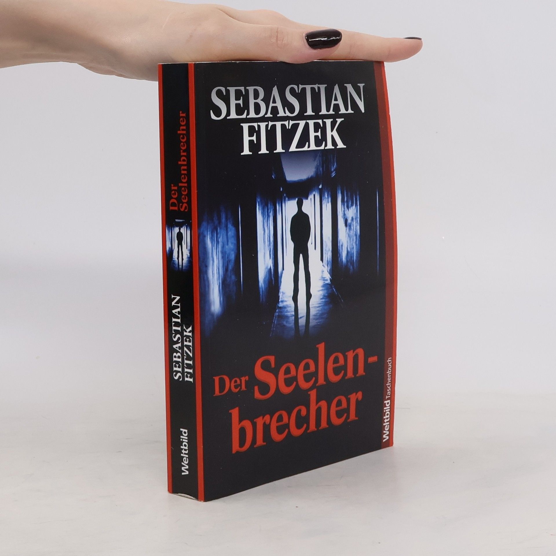 Sebastian Fitzek Der Seelenbrecher