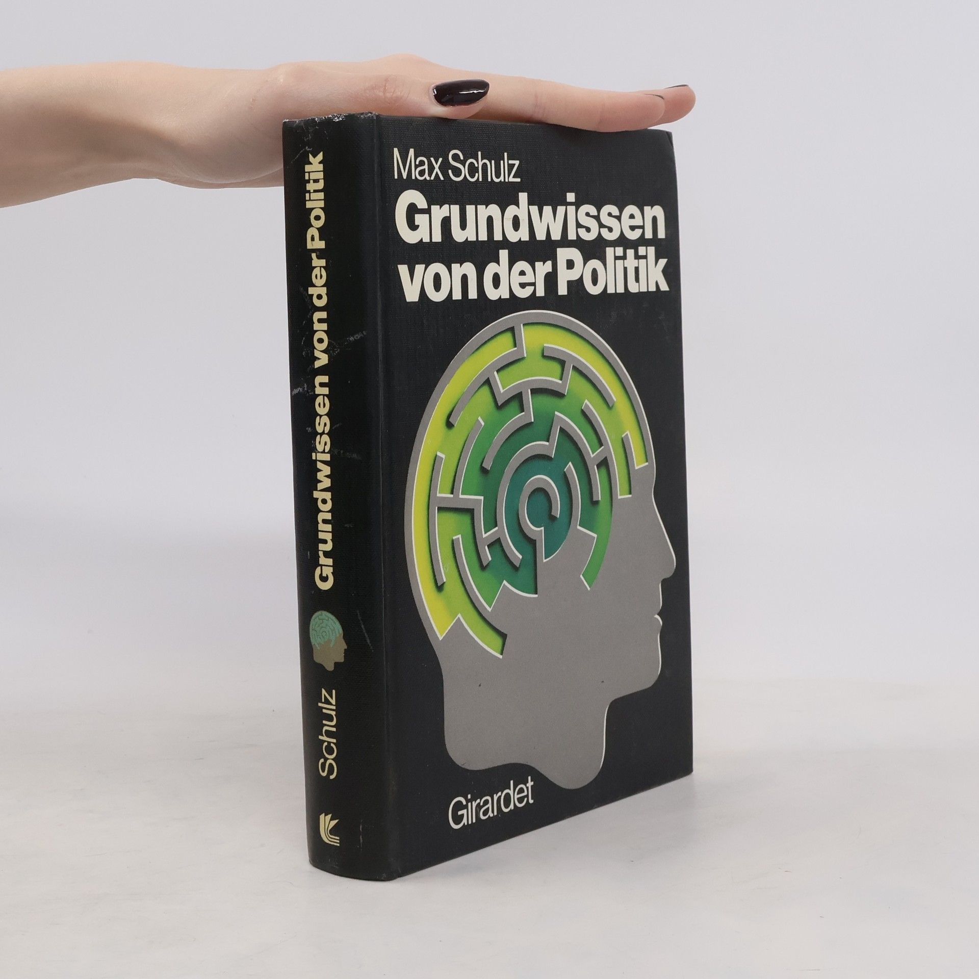 Max Schulz Grundwissen von der Politik