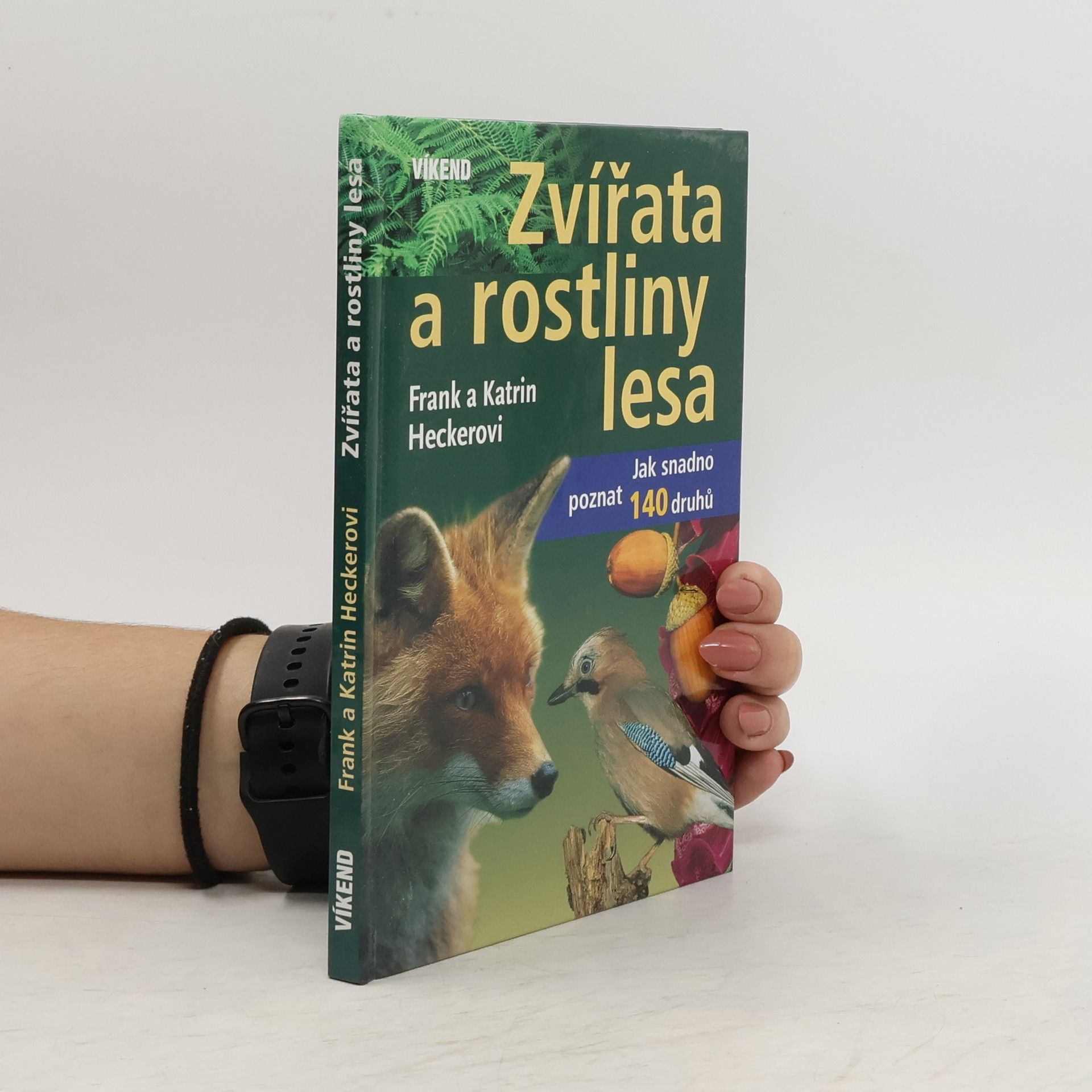 Katrin Hecker Zvířata a rostliny lesa