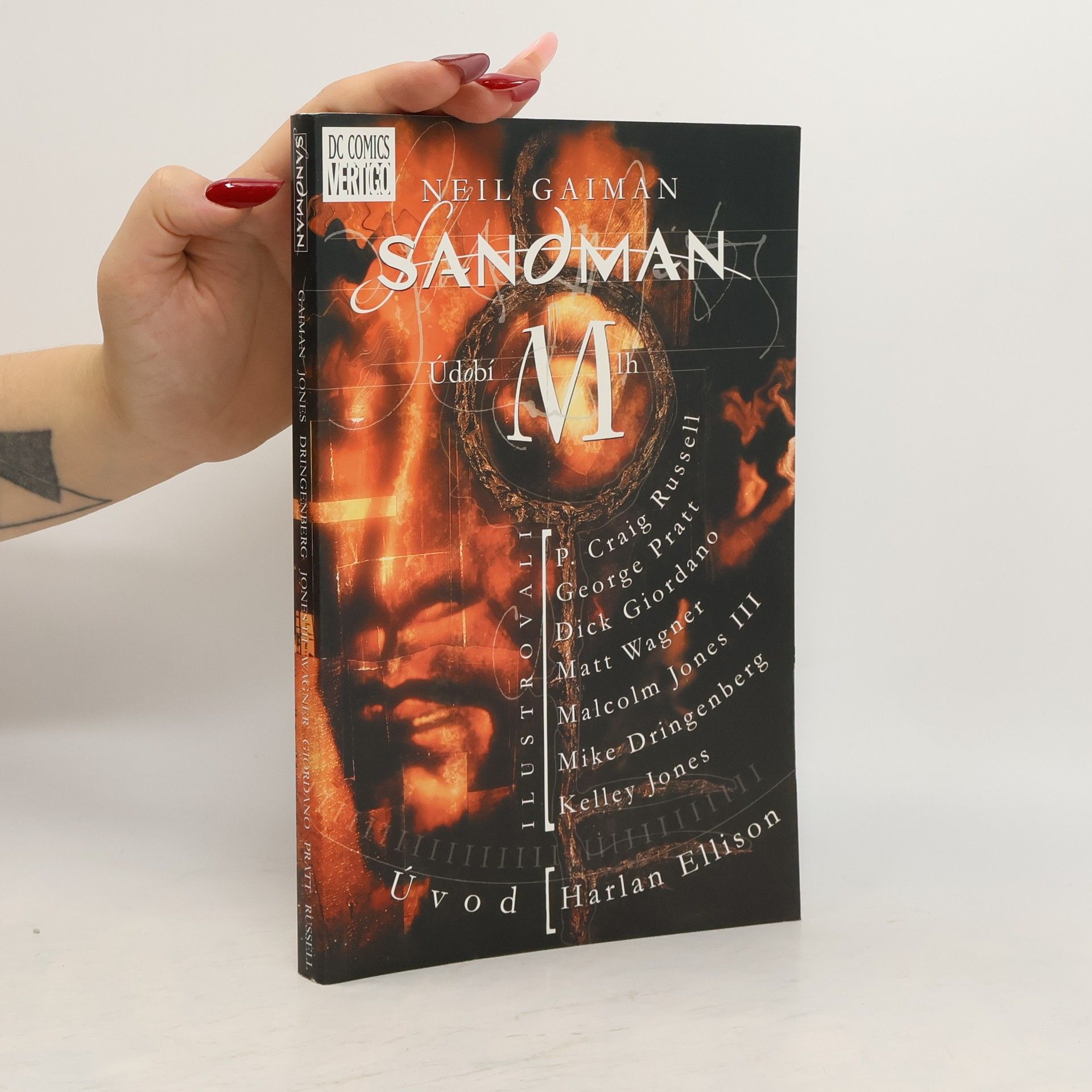 Neil Gaiman Sandman. Údobí mlh