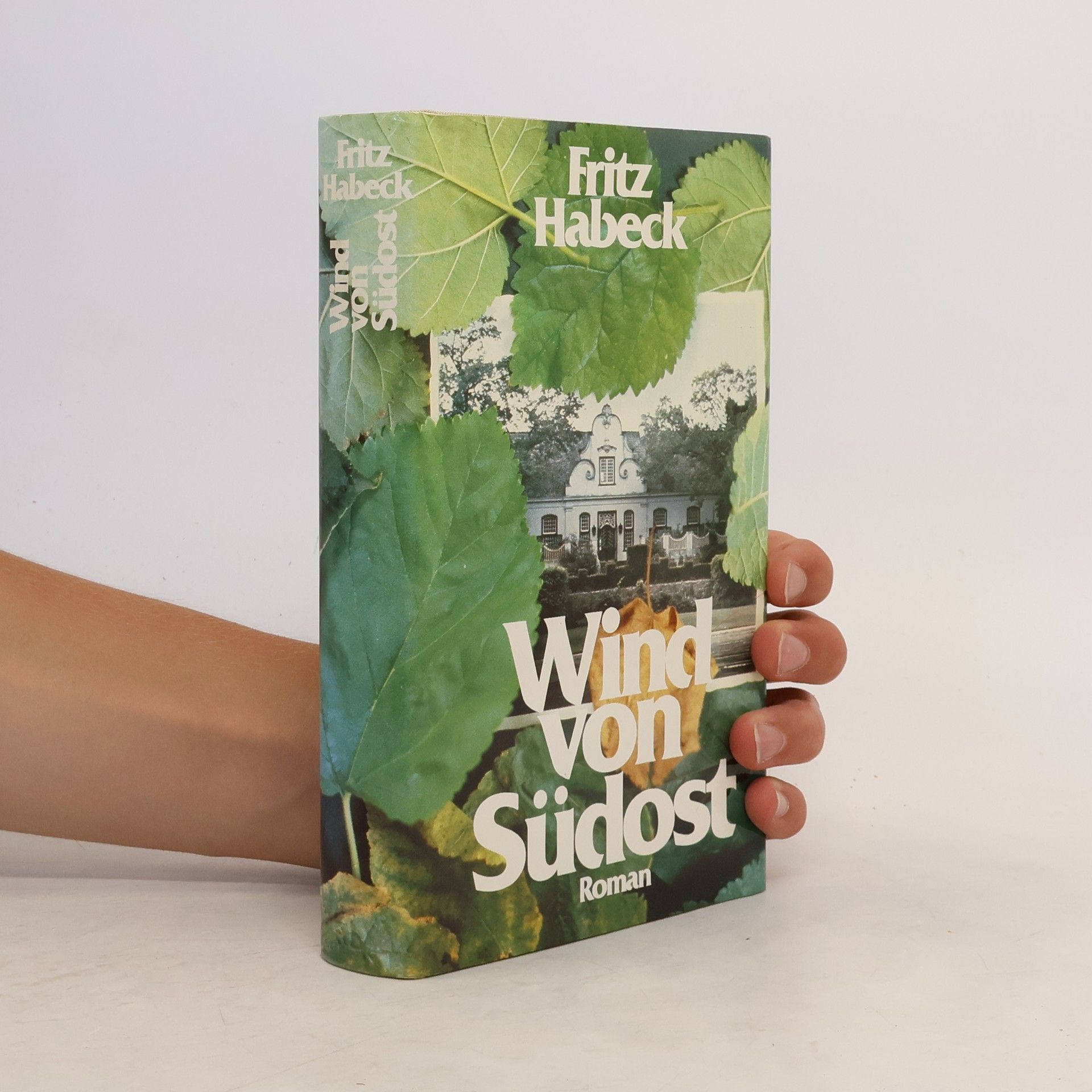 Fritz Habeck Wind von Südost