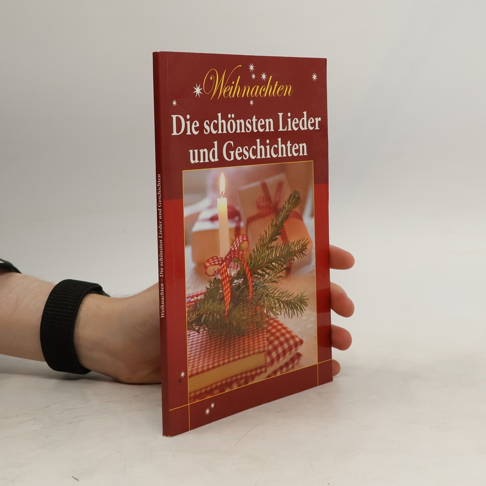 Beate Martin Weihnachten - die schönsten Lieder und Geschichten