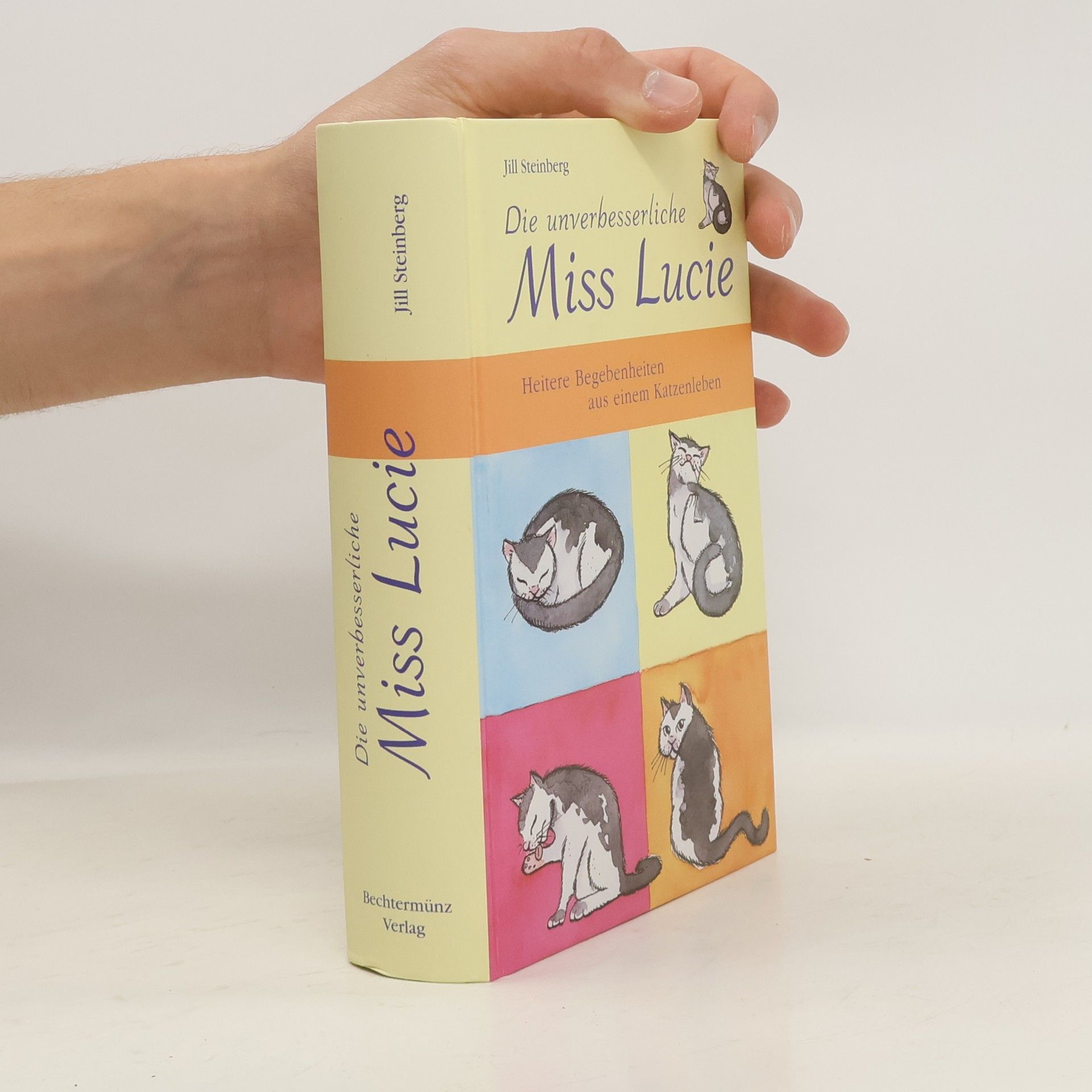 Jill Steinberg Die unverbesserliche Miss Lucie