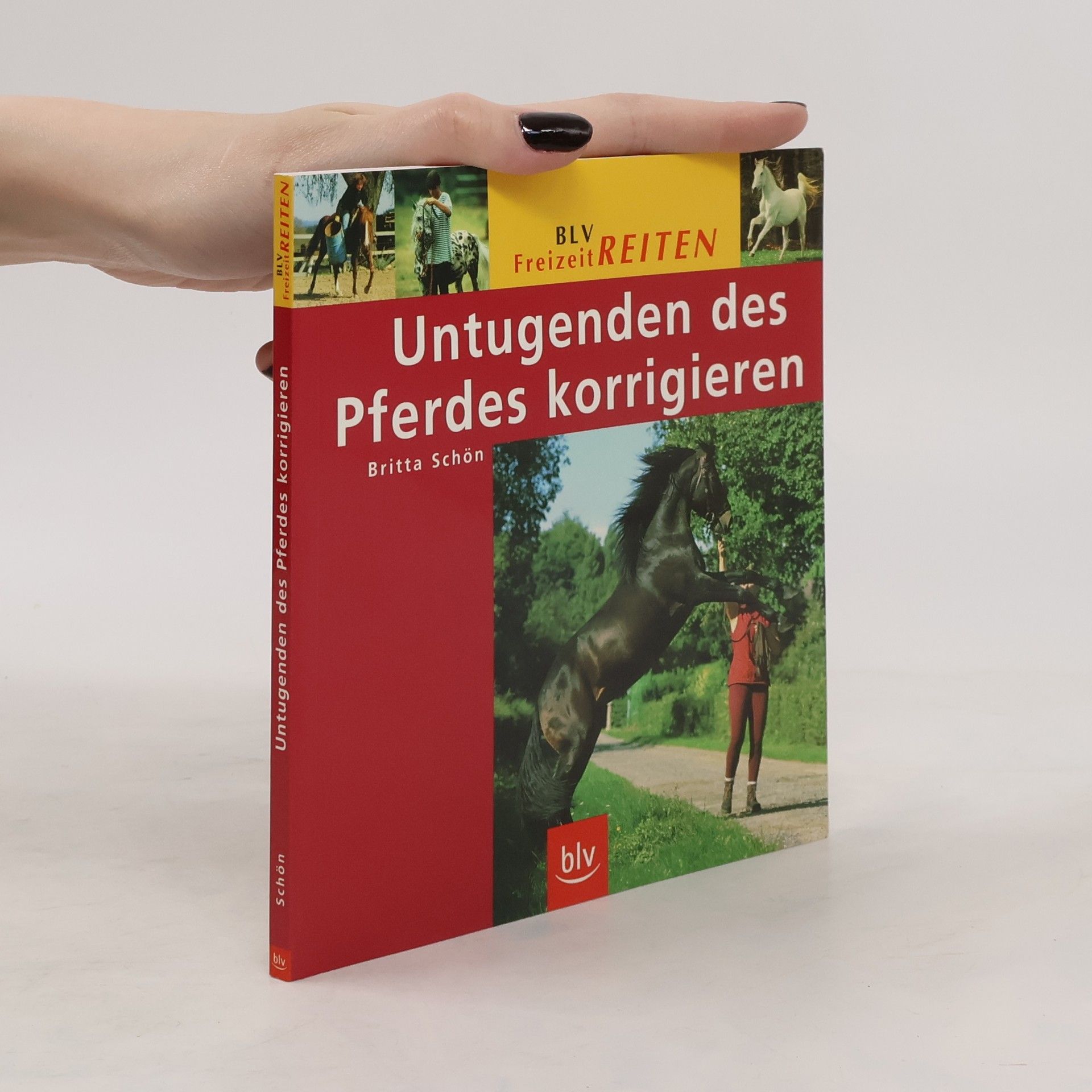 Britta Schön Untugenden des Pferdes korrigieren