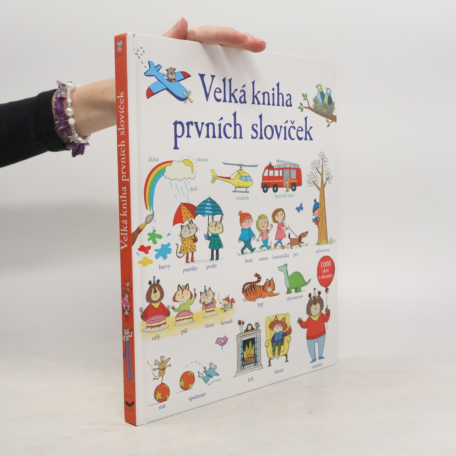 Mairi Mackinnon Velká kniha prvních slovíček