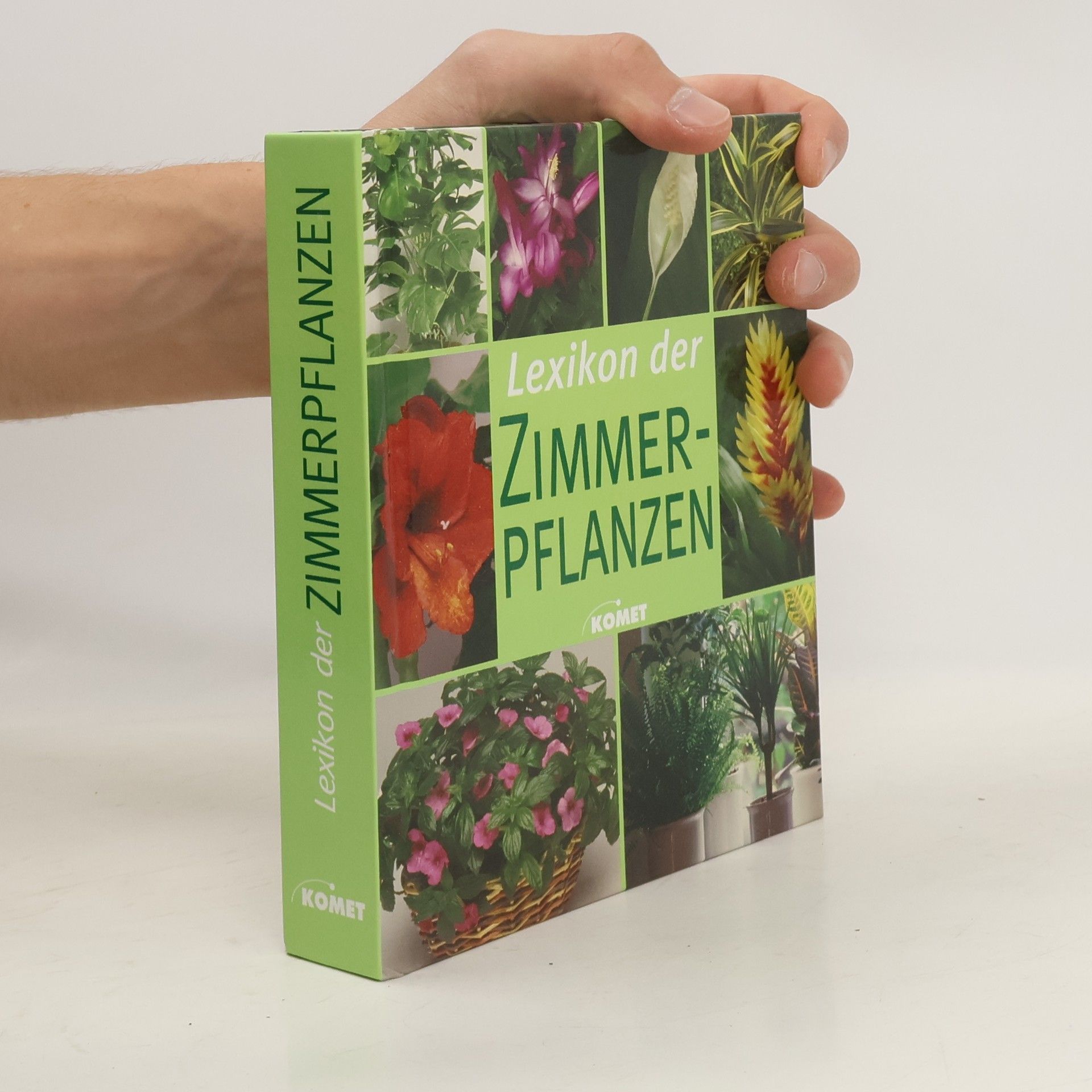 Kolektiv autorů Lexikon der Zimmerpflanzen