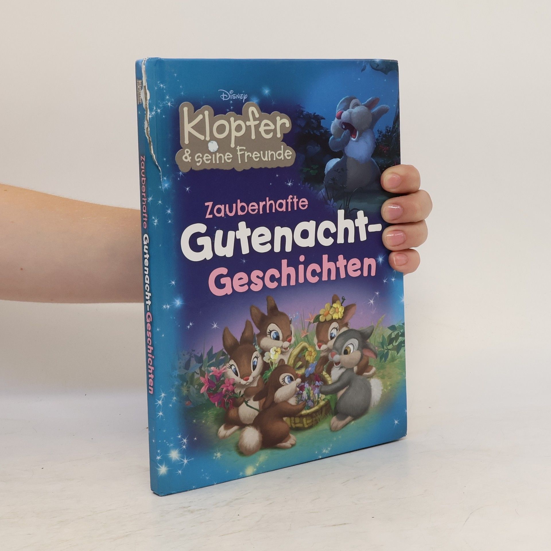 Kolektív autorov Zauberhafte Gutenacht-Geschichten