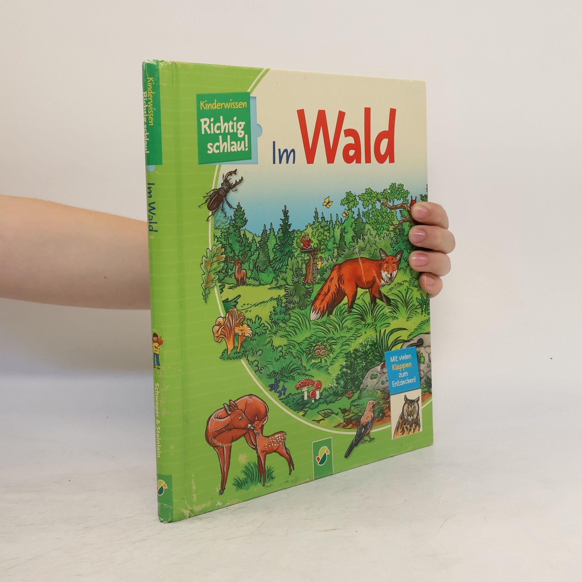 Autorenkollektiv Richtig Schlau! Im Wald