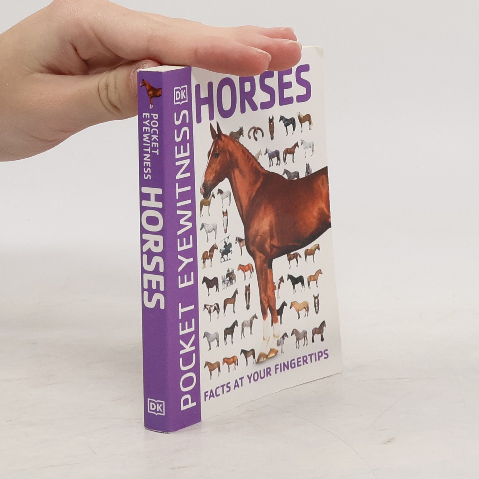 Autores varios Horses