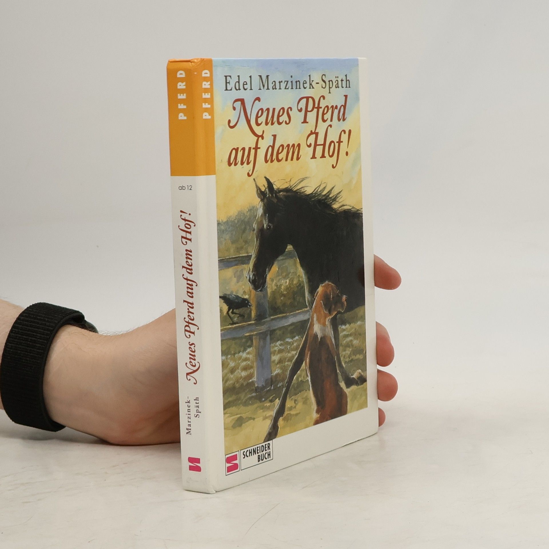 Neues Pferd auf dem Hof!