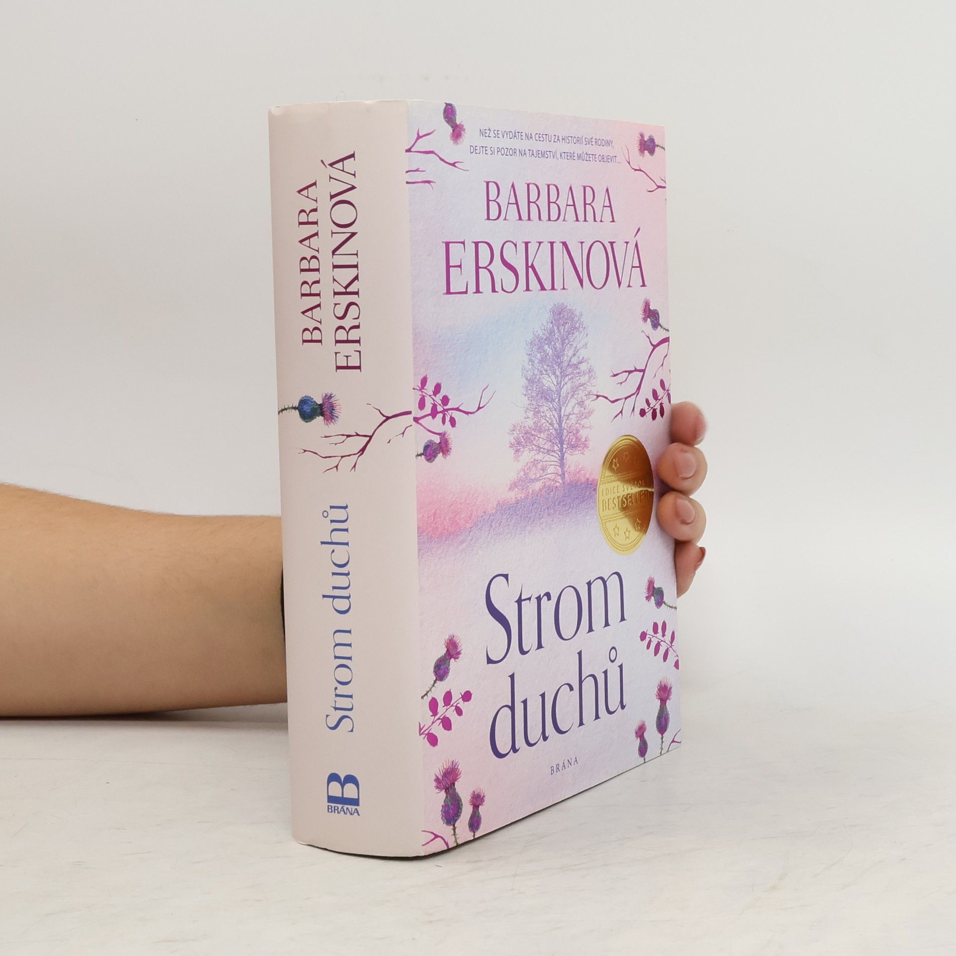 Barbara Erskine Strom duchů