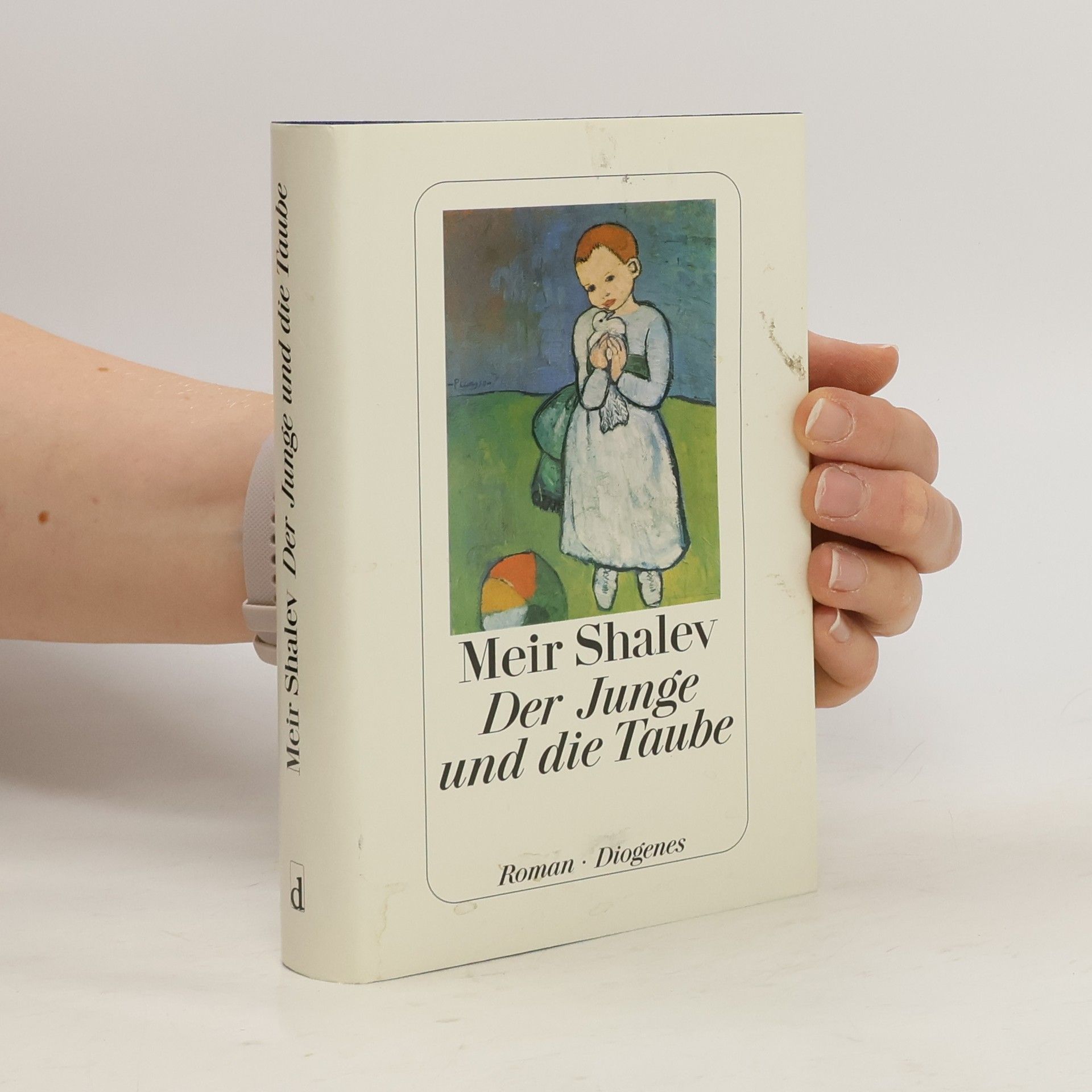 Meir Shalev Der Junge und die Taube