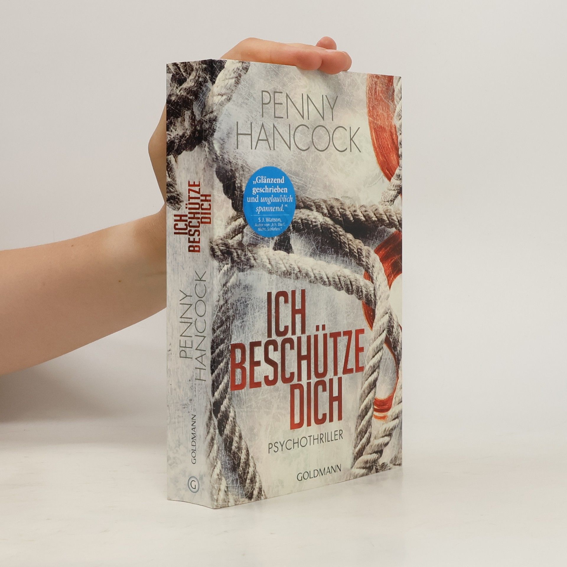 Penny Hancock Ich beschütze dich