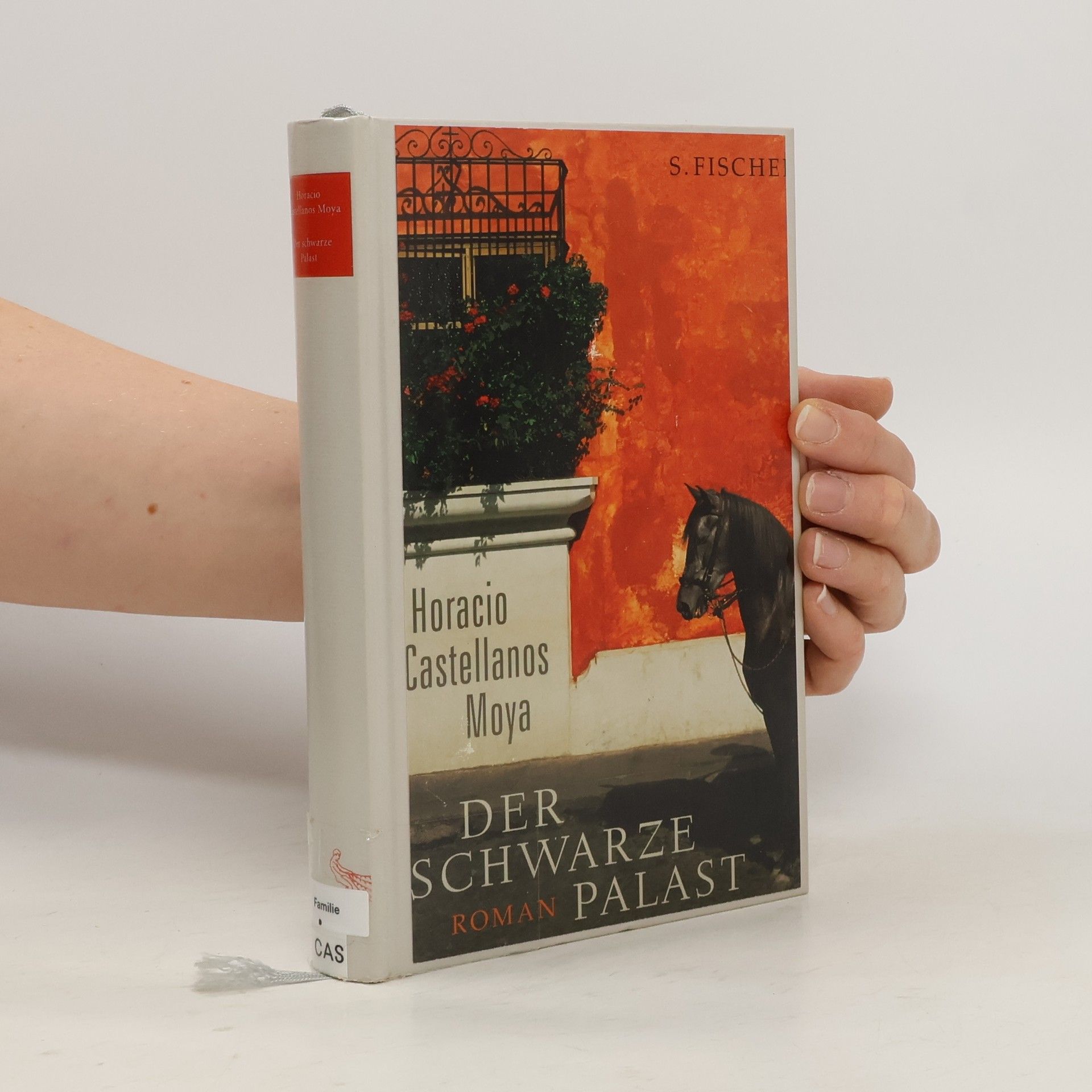 Horacio Castellanos Moya Der schwarze Palast