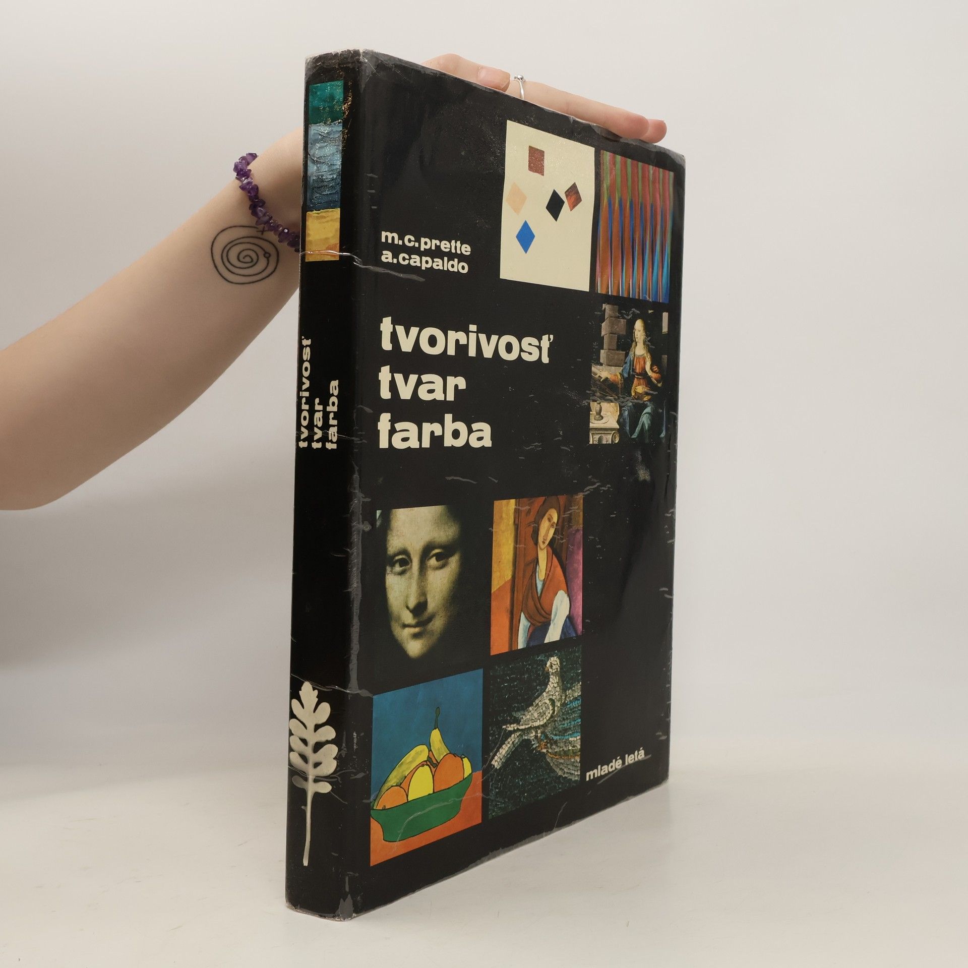 Maria Carla Prette Tvorivosť, tvar, farba