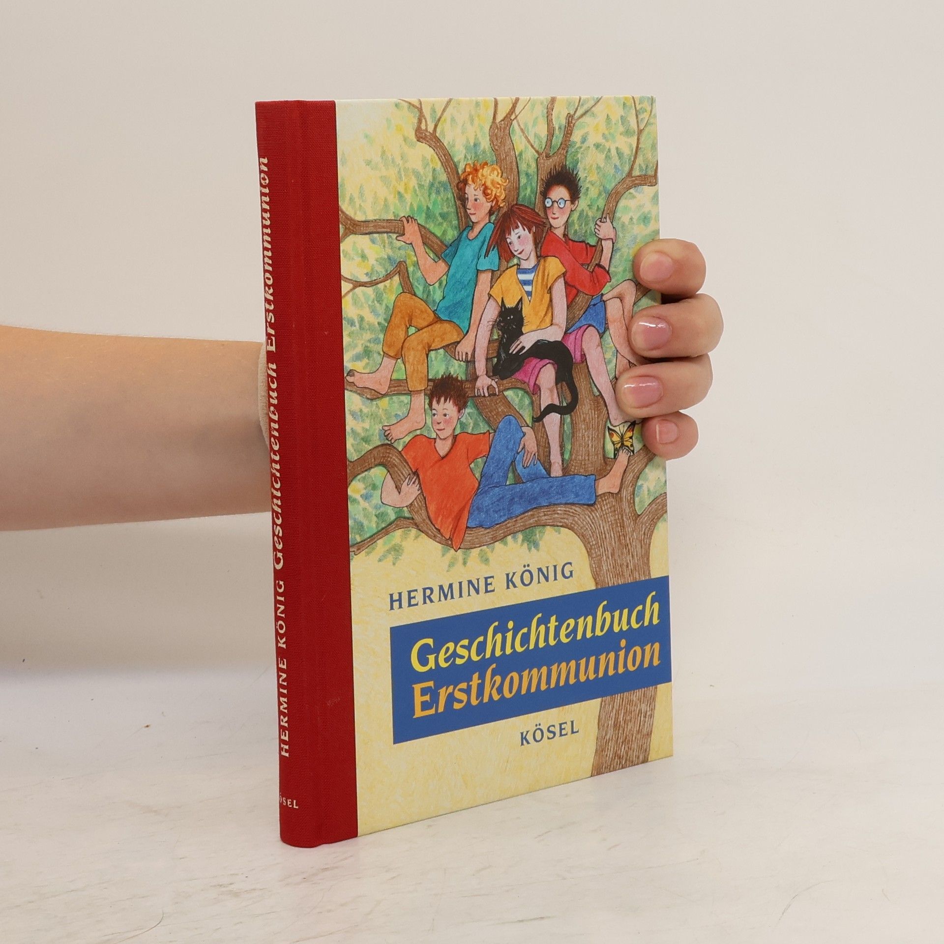 Hermine König Geschichtenbuch Erstkommunion