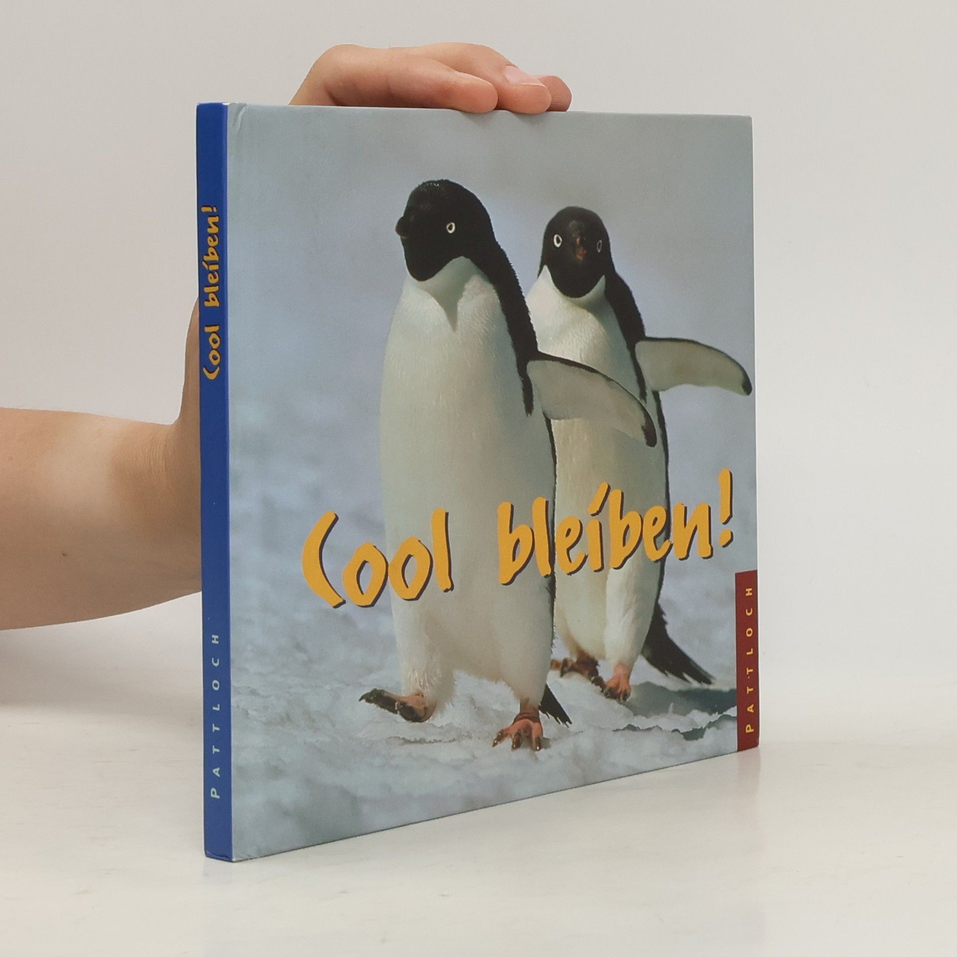 Autorenkollektiv Cool bleiben!