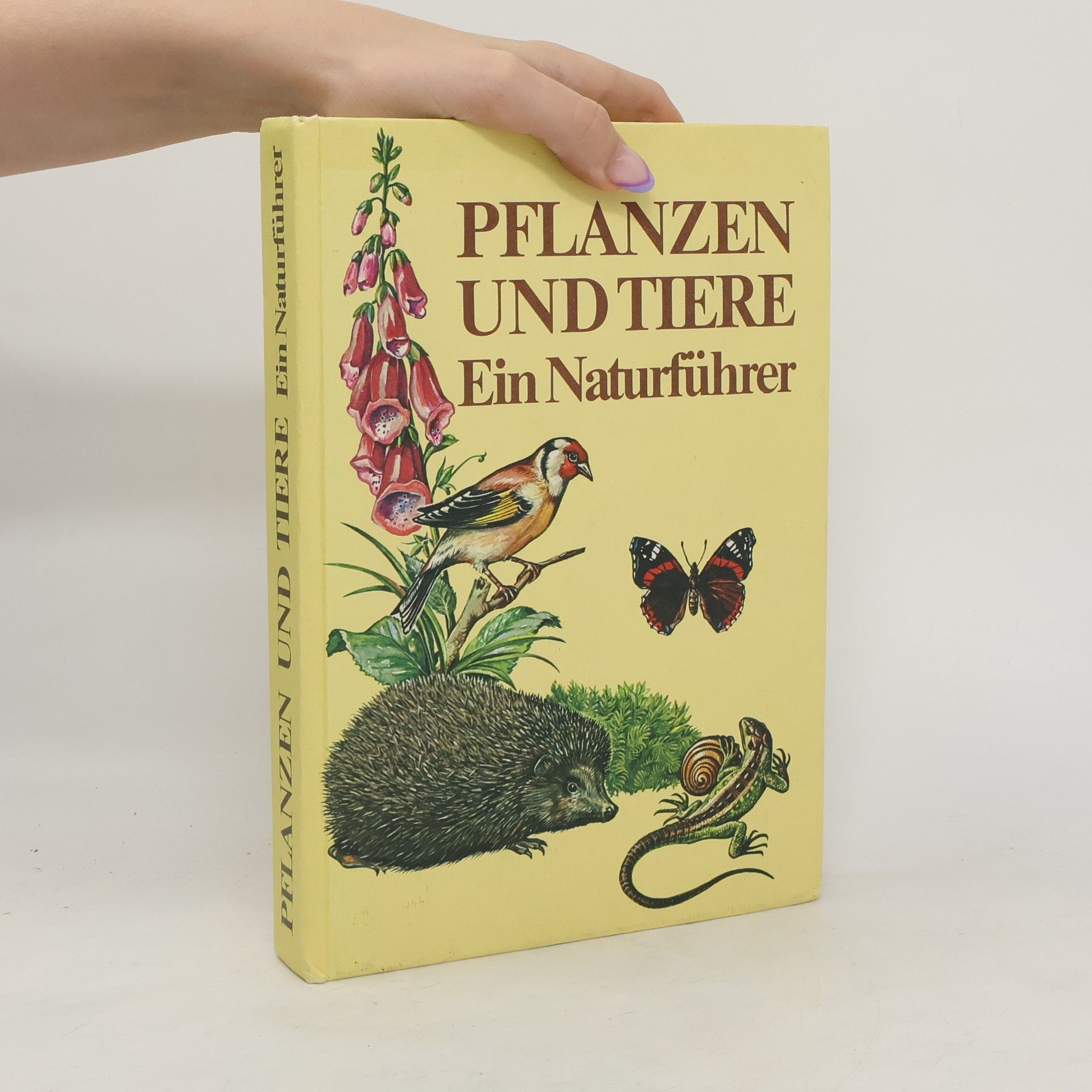 Autorenkollektiv Pflanzen und Tiere. Ein Naturführer