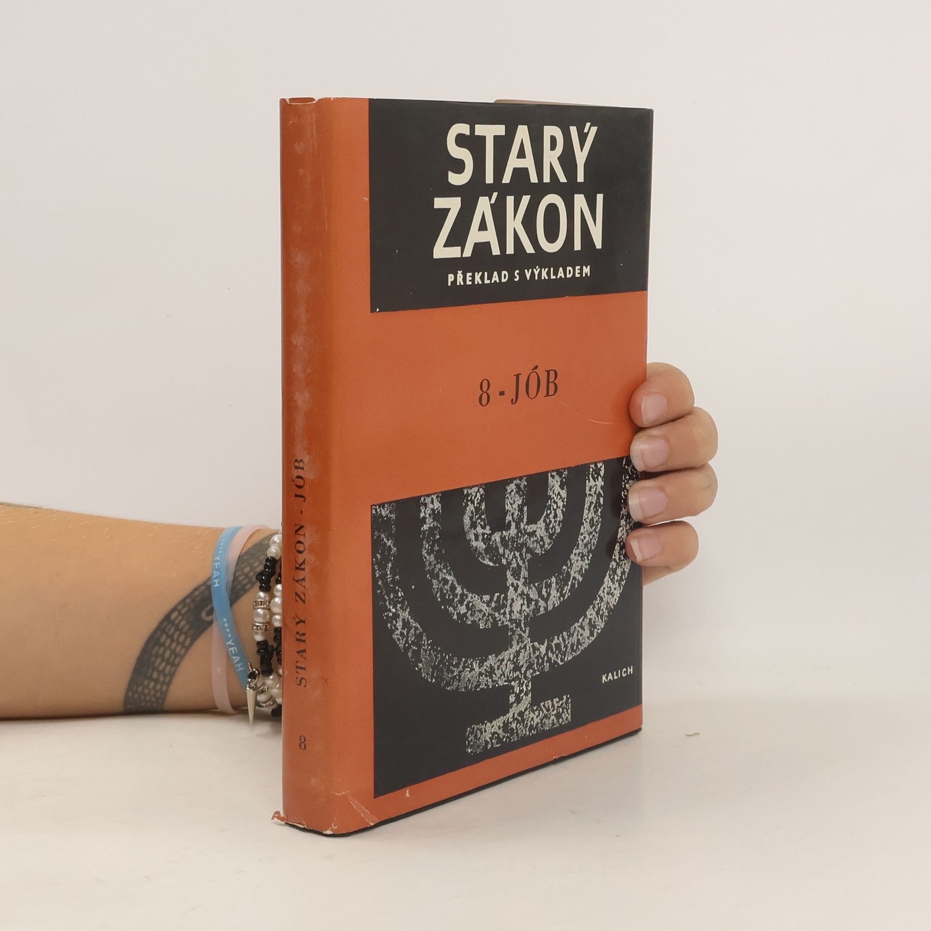 Kolektiv autorů Starý zákon 8. Jób