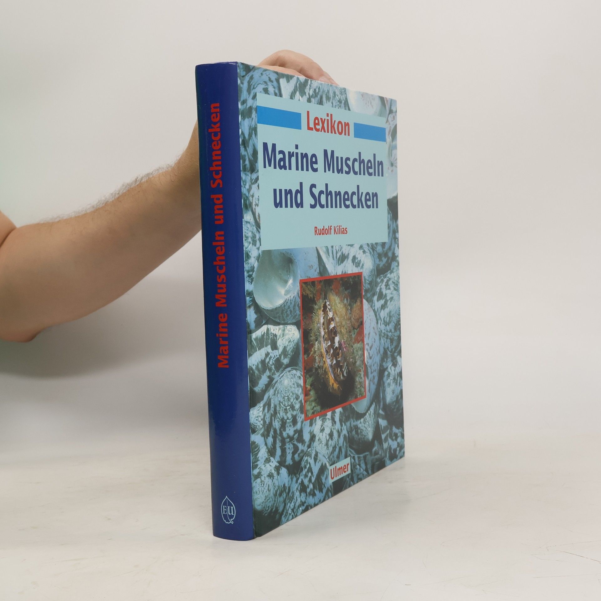Rudolf Kilias Lexikon marine Muscheln und Schnecken