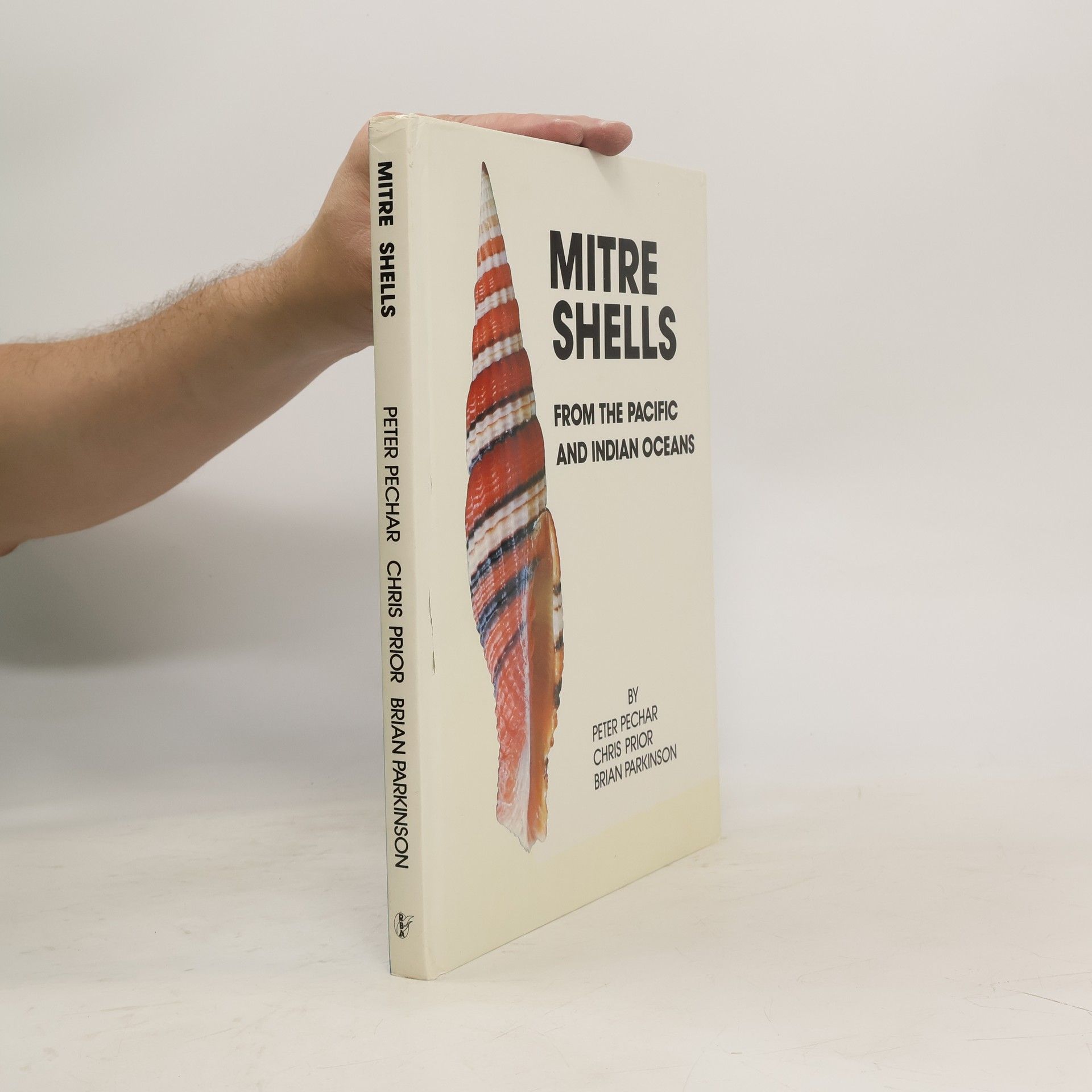 Peter Pecharda Mitre Shells from the Pacific and Indian Oceans
