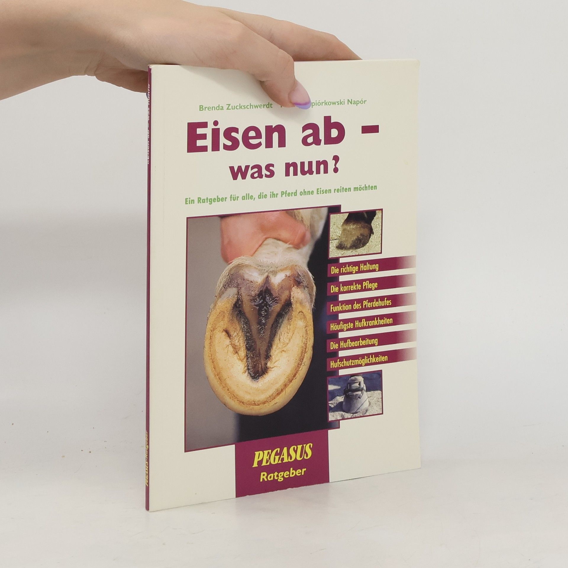 Brenda Zuckschwerdt Eisen ab - was nun?