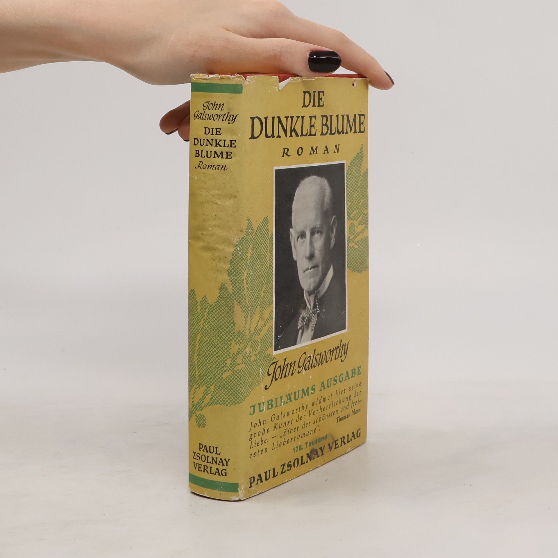 John Galsworthy Die dunkle blume