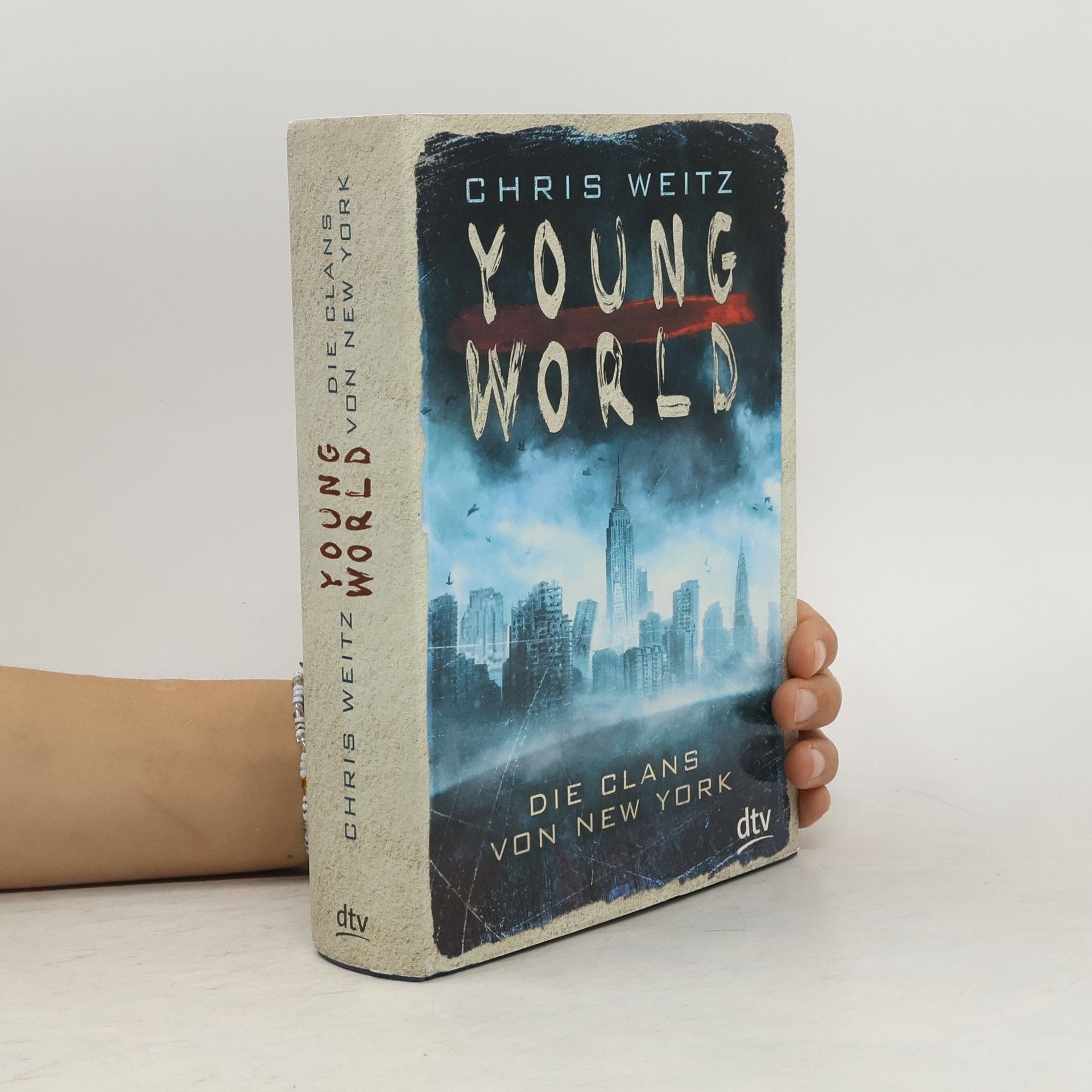 Young world – die Clans von New York