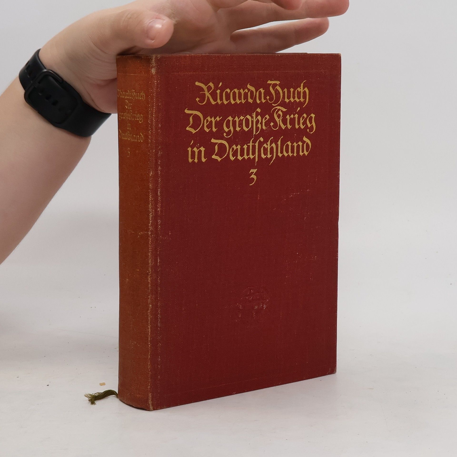 Ricarda Huch Der Große Krieg in Deutschland 3