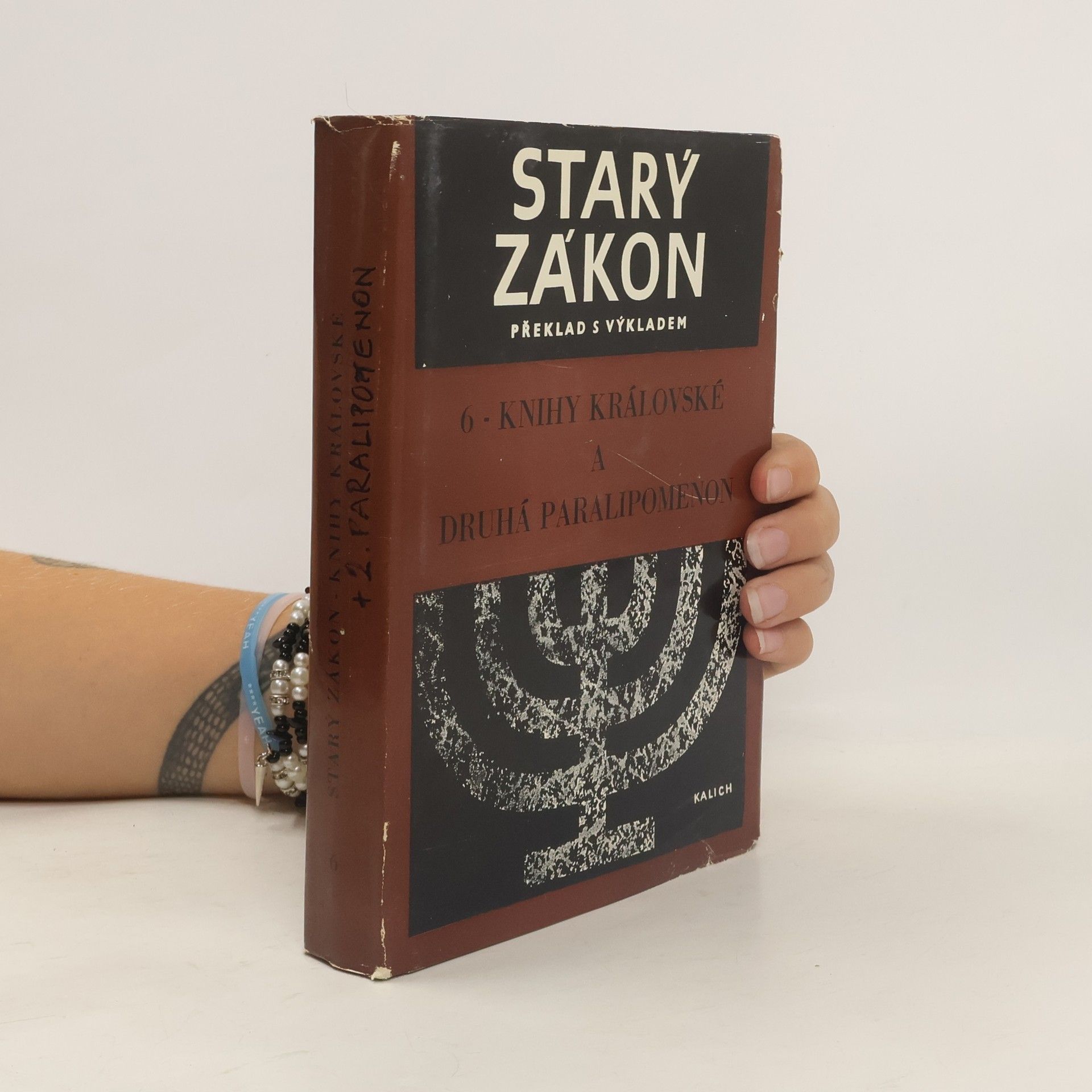 Kolektiv autorů Starý zákon 6. Knihy královské a druhá Paralipomenon