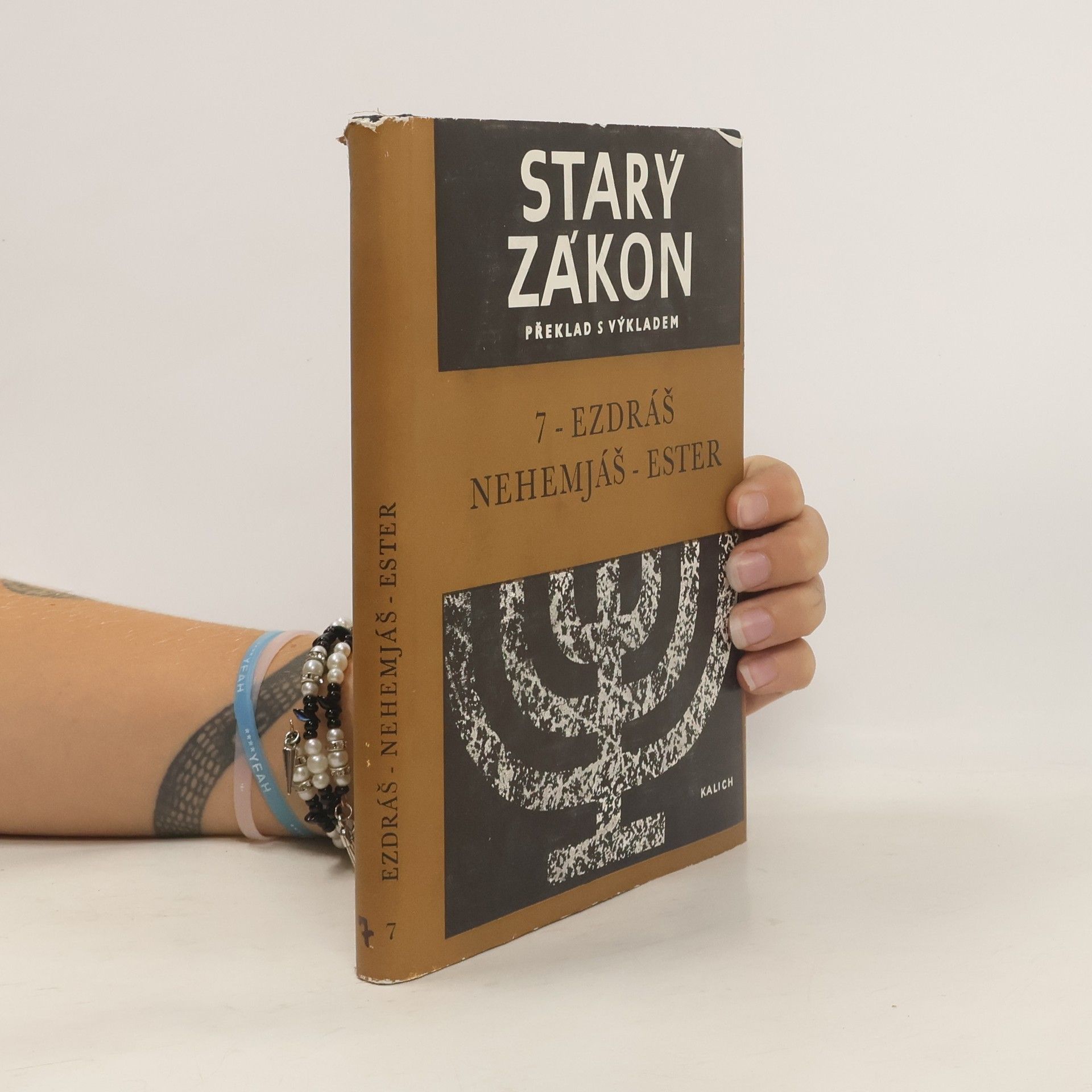 Kolektiv autorů Starý zákon