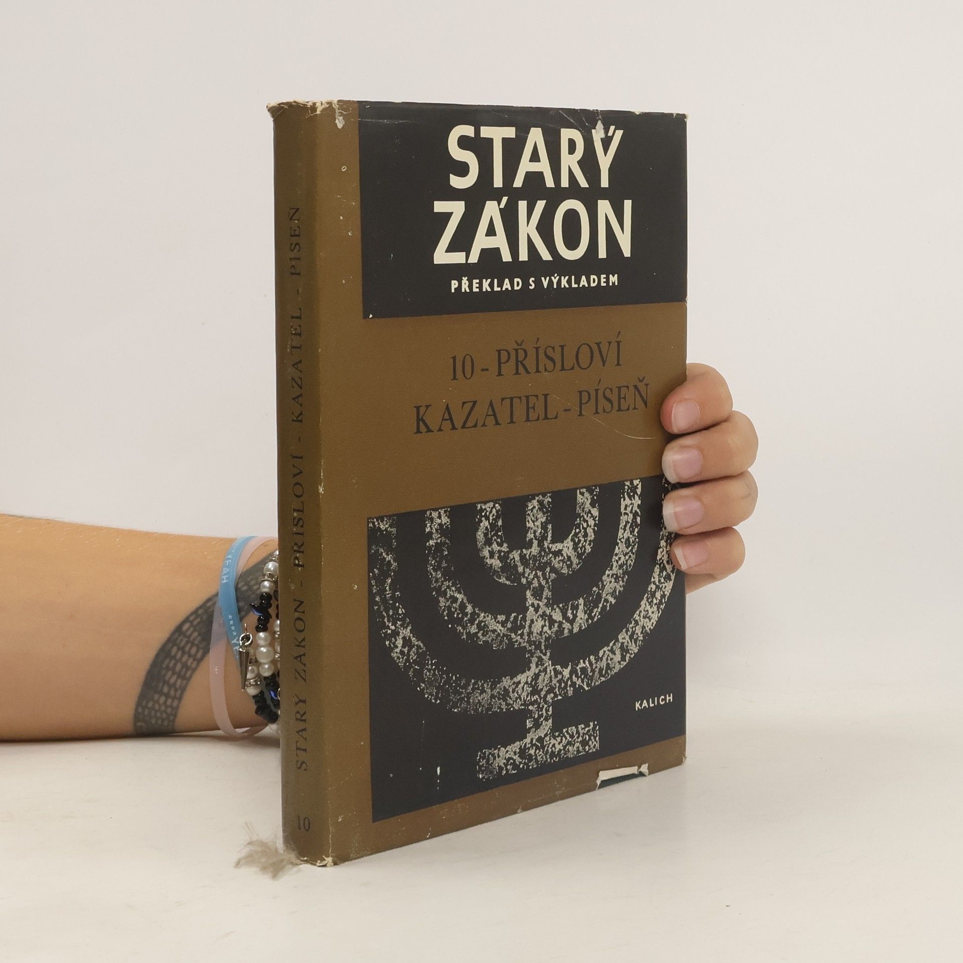 Kolektiv autorů Starý zákon překlad s výkladem 10. Přísloví. Kazatel. Píseň.