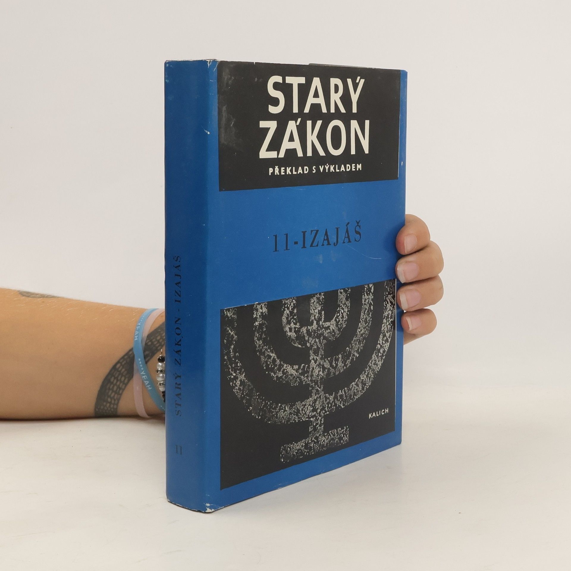 Kolektiv autorů Starý zákon 11. Izajáš