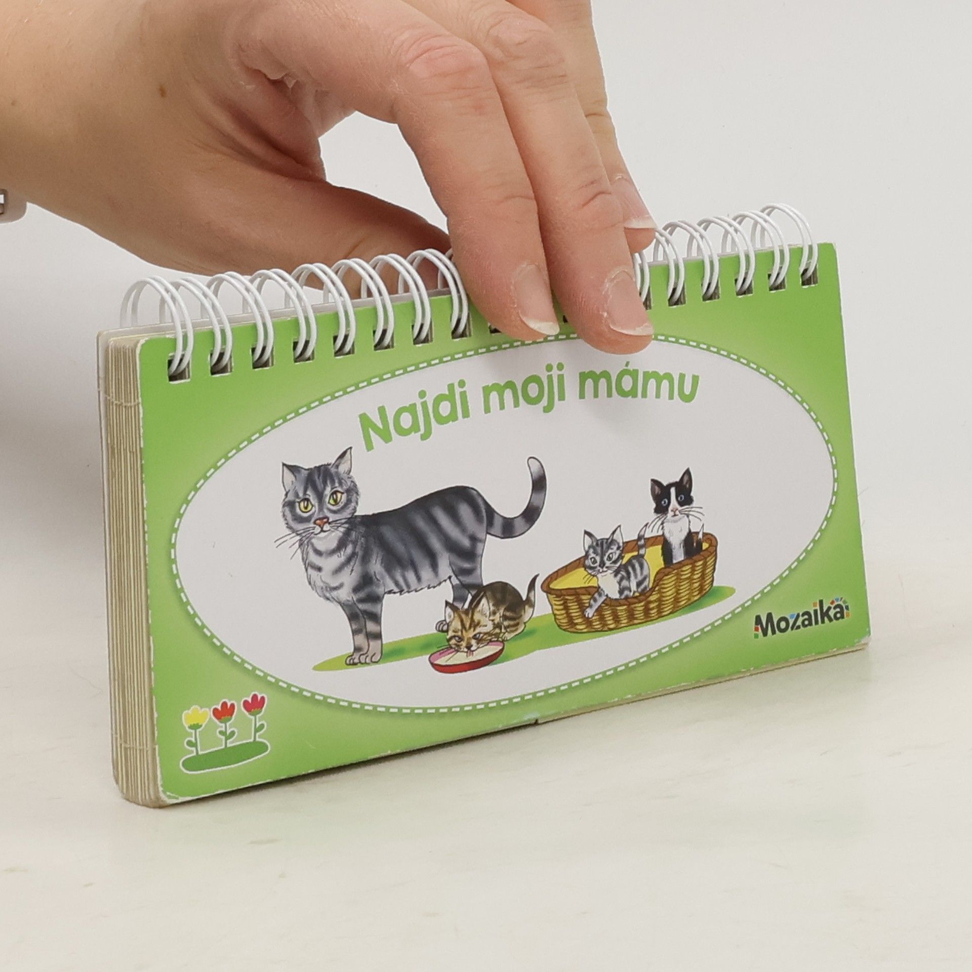 Antonín Šplíchal Najdi moji mámu