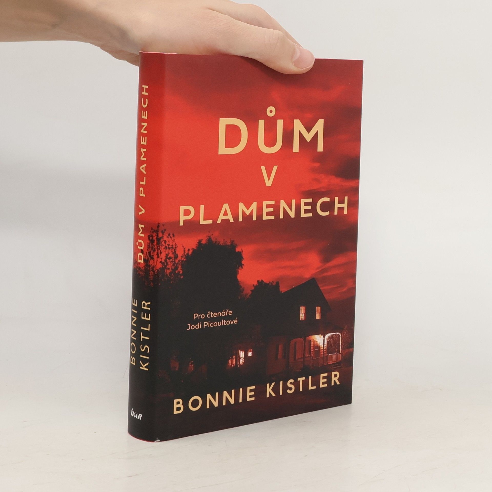 Bonnie Kistler Dům v plamenech