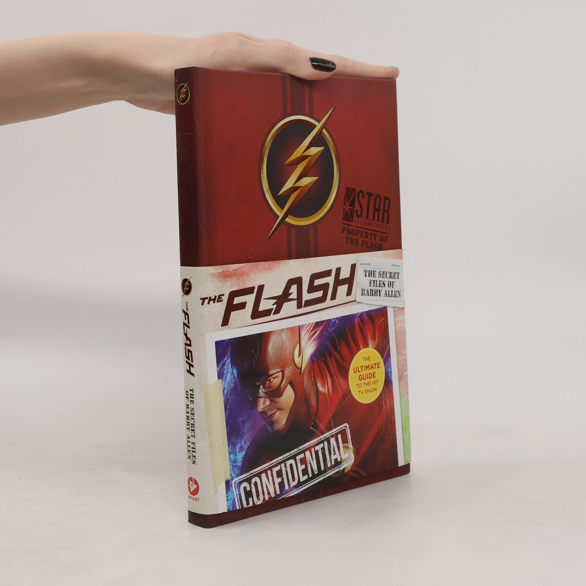 Autorenkollektiv The Flash. The Secret Files of Barry Allen