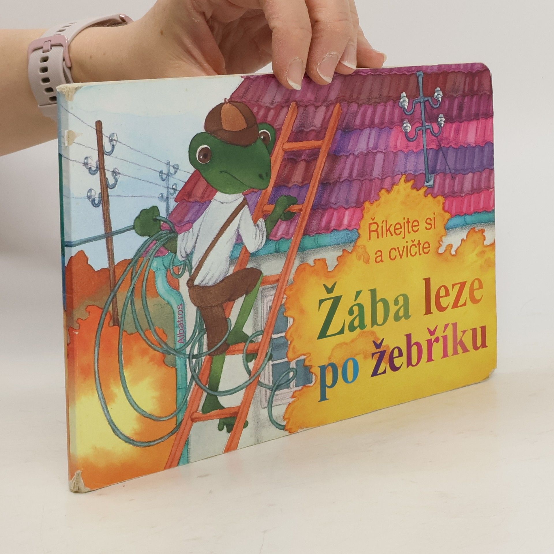 Autorenkollektiv Žába leze po žebříku