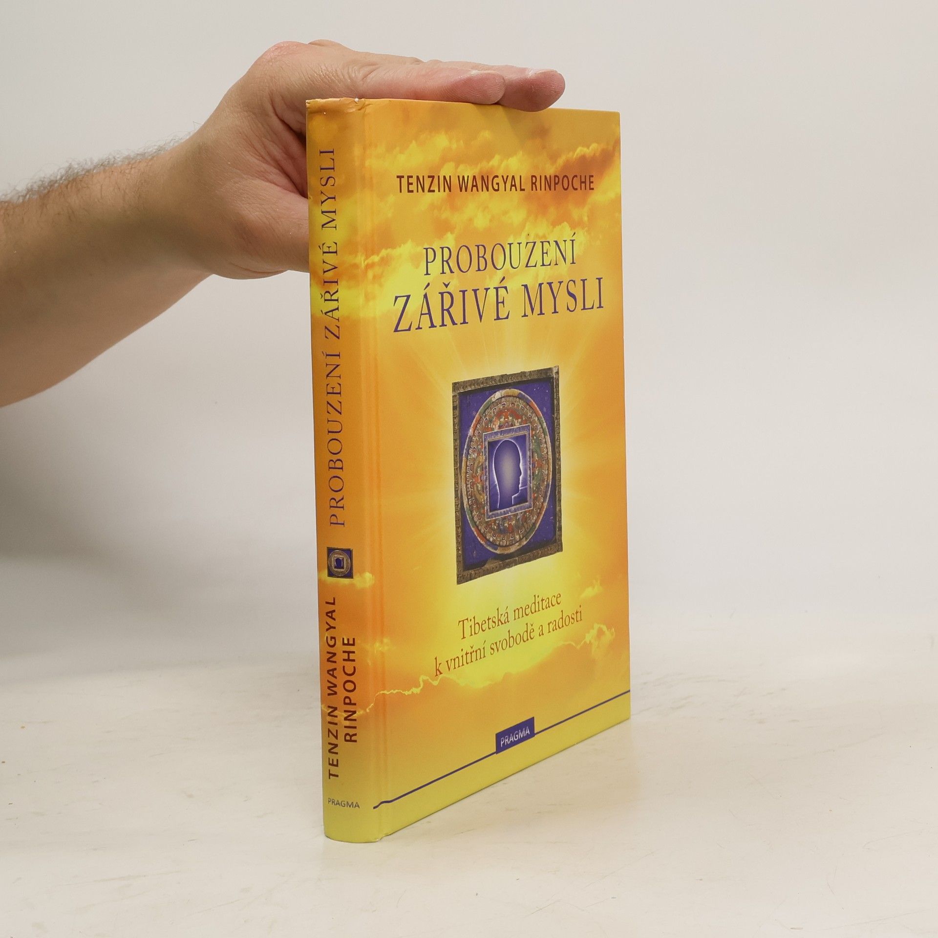 Tenzin Wangyal Rinpoche Probouzení zářivé mysli