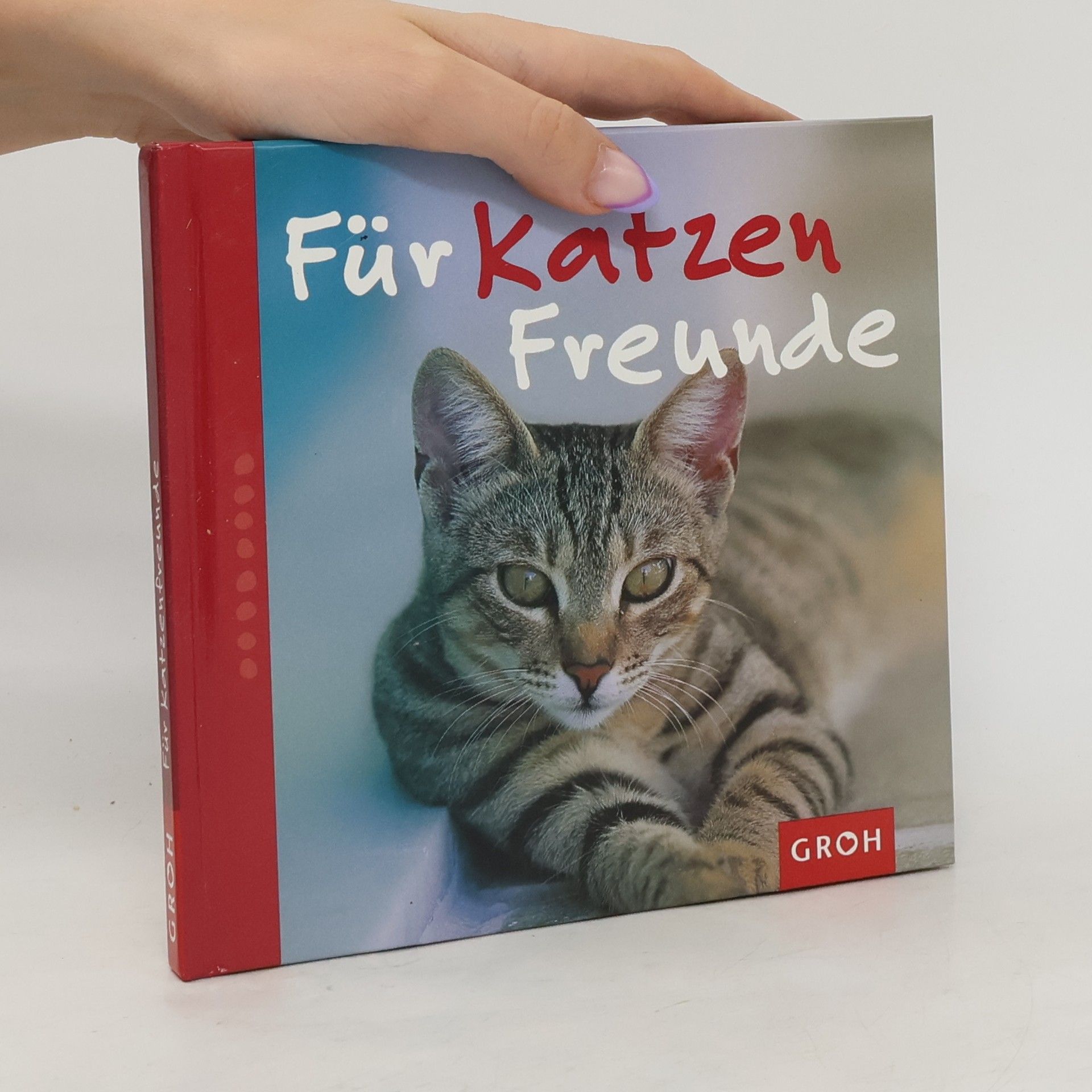Nina Sandmann Für Katzenfreunde