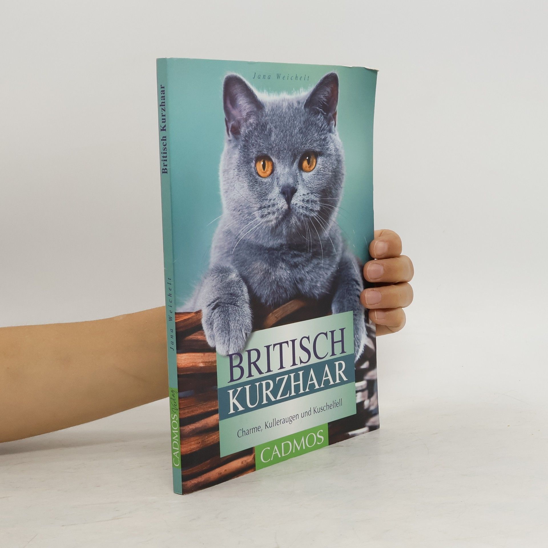 Jana Weichelt Britisch Kurzhaar