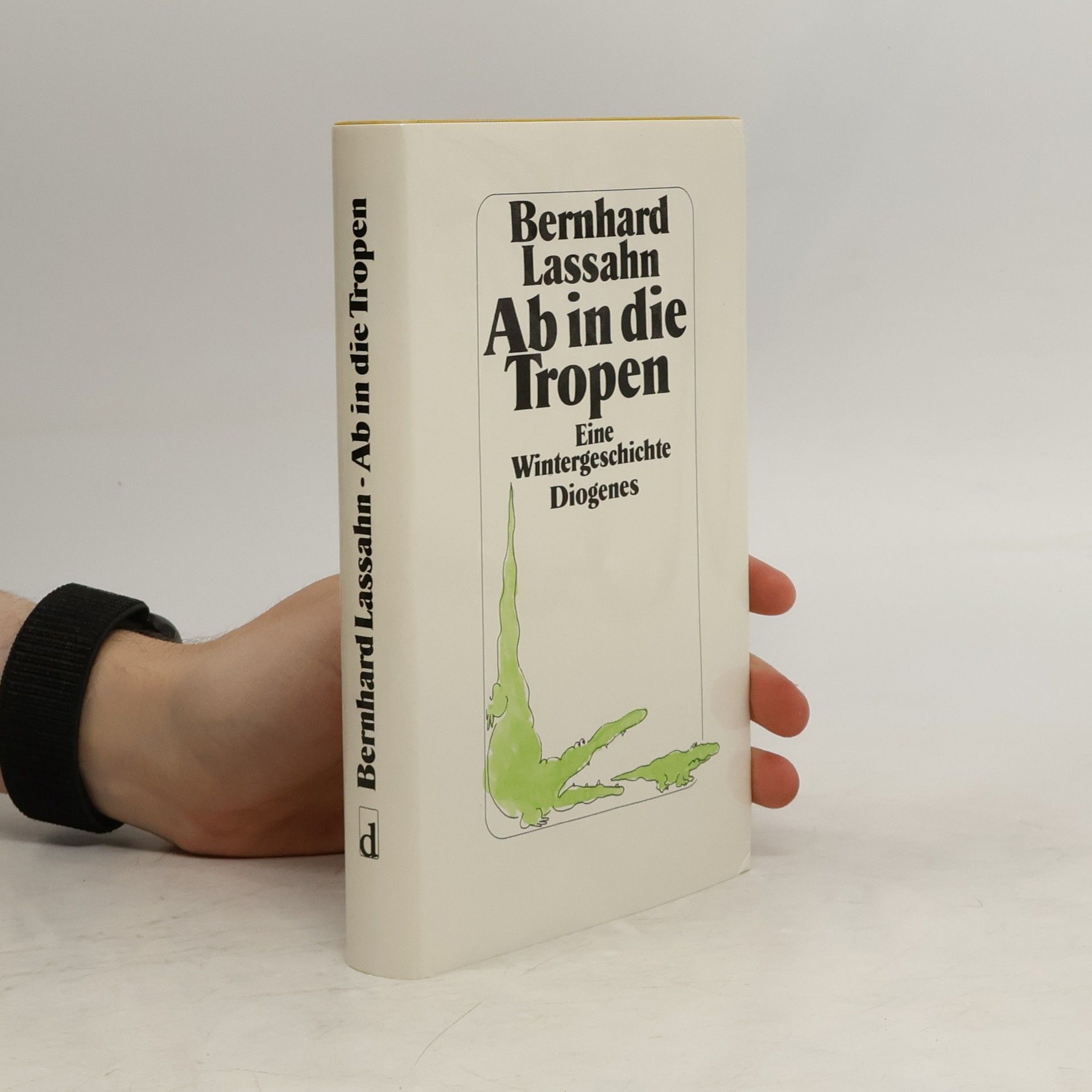 Bernhard Lassahn Ab in die Tropen. Eine Wintergeschichte