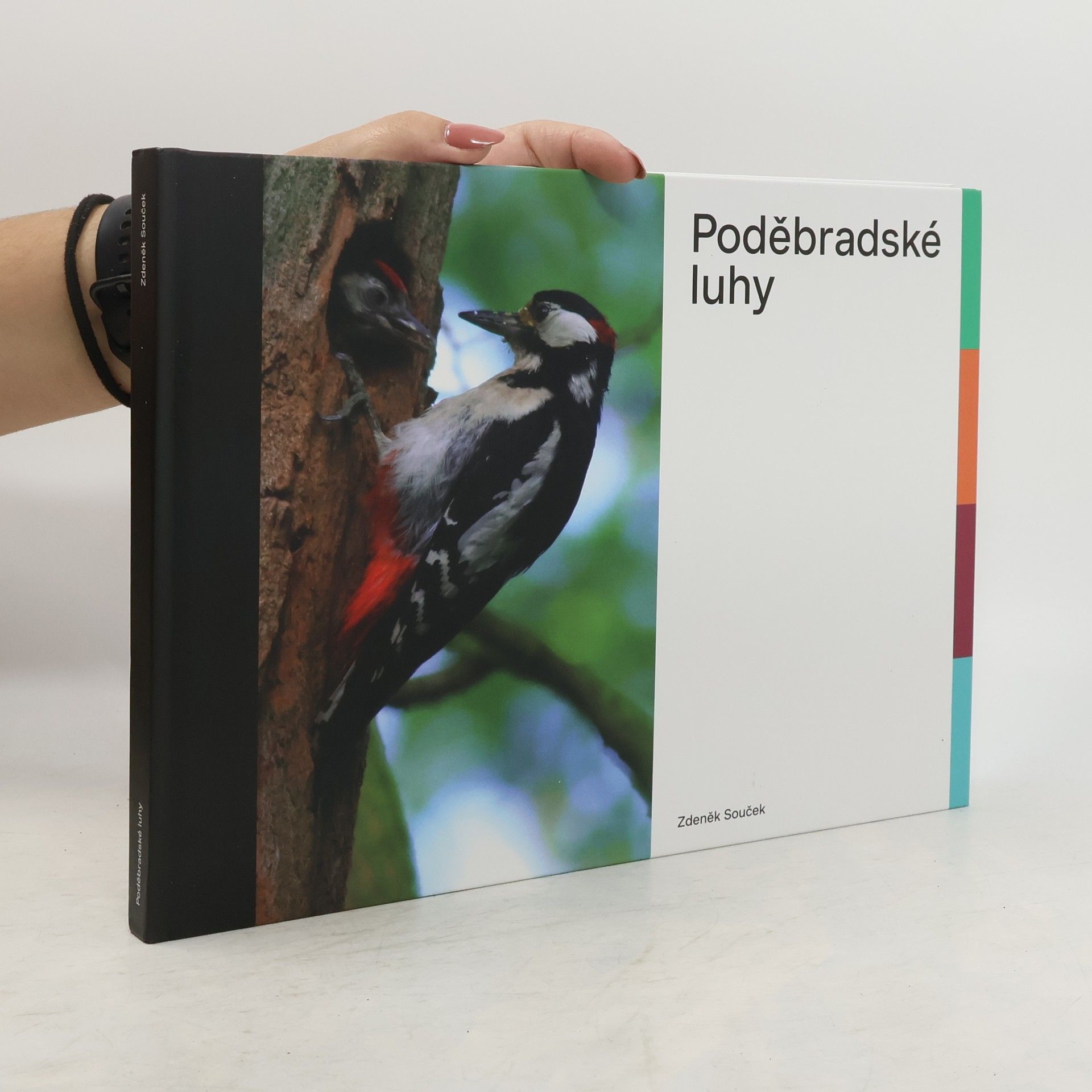 Pavel Ševčík Poděbradské luhy