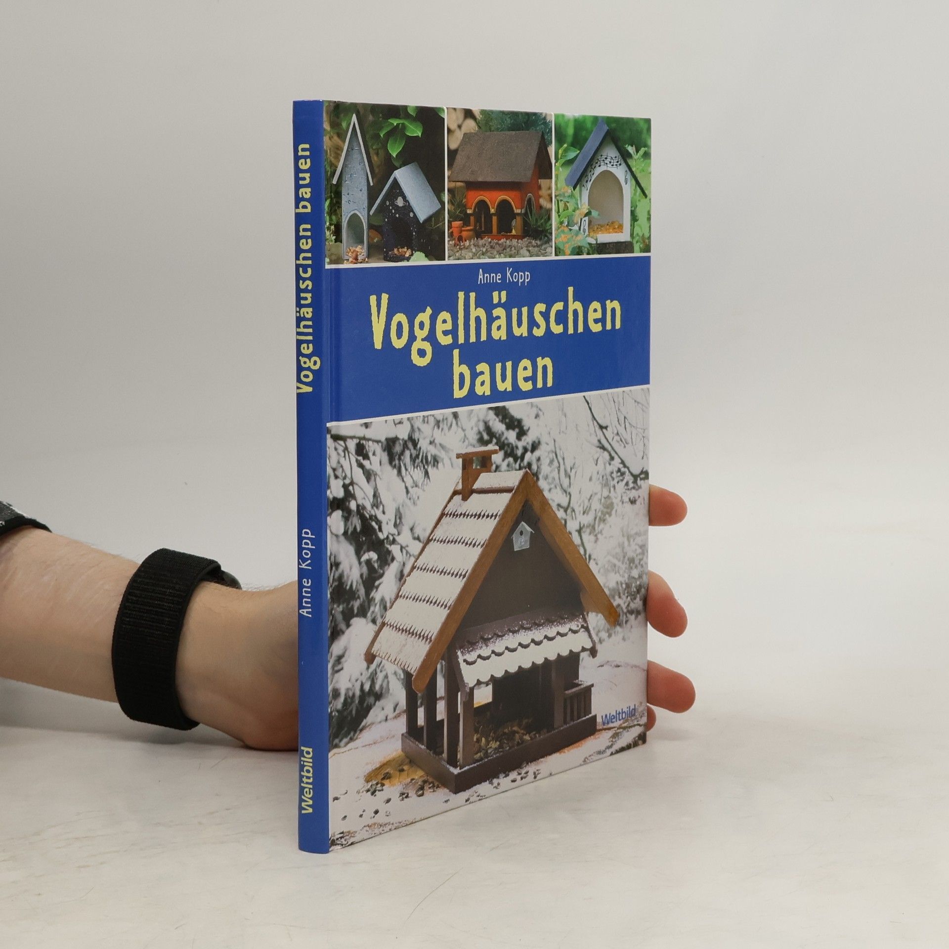 Anne Kopp Vogelhäuschen bauen