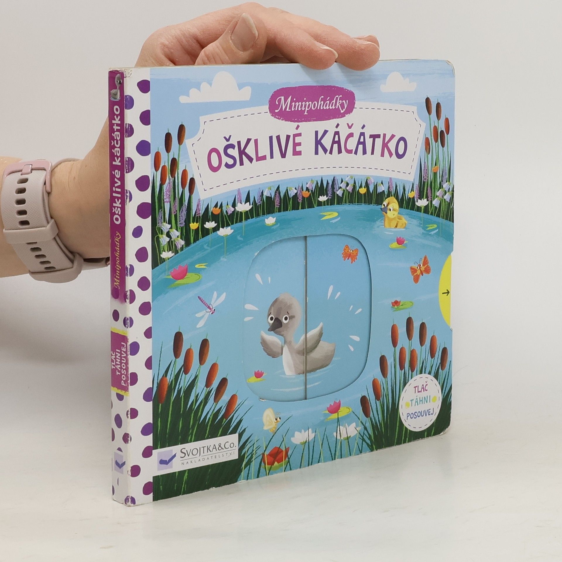 Dean Gray Minipohádky: Ošklivé káčátko